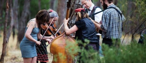 Goat Family String Band performing live in Melbourne. Hire through Artist Bookings