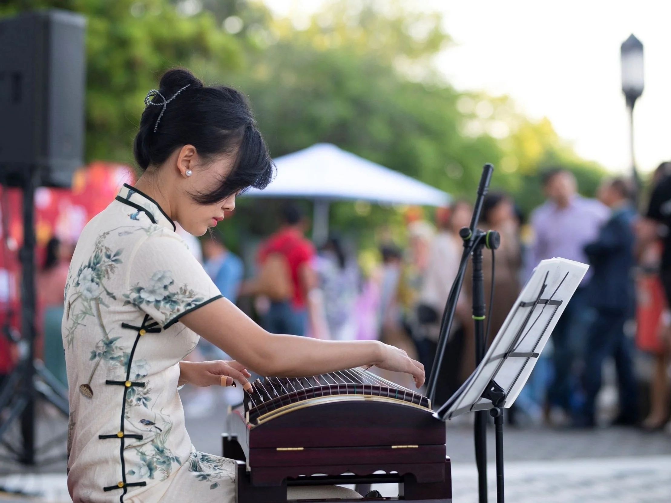 Serena - Guzheng Zither