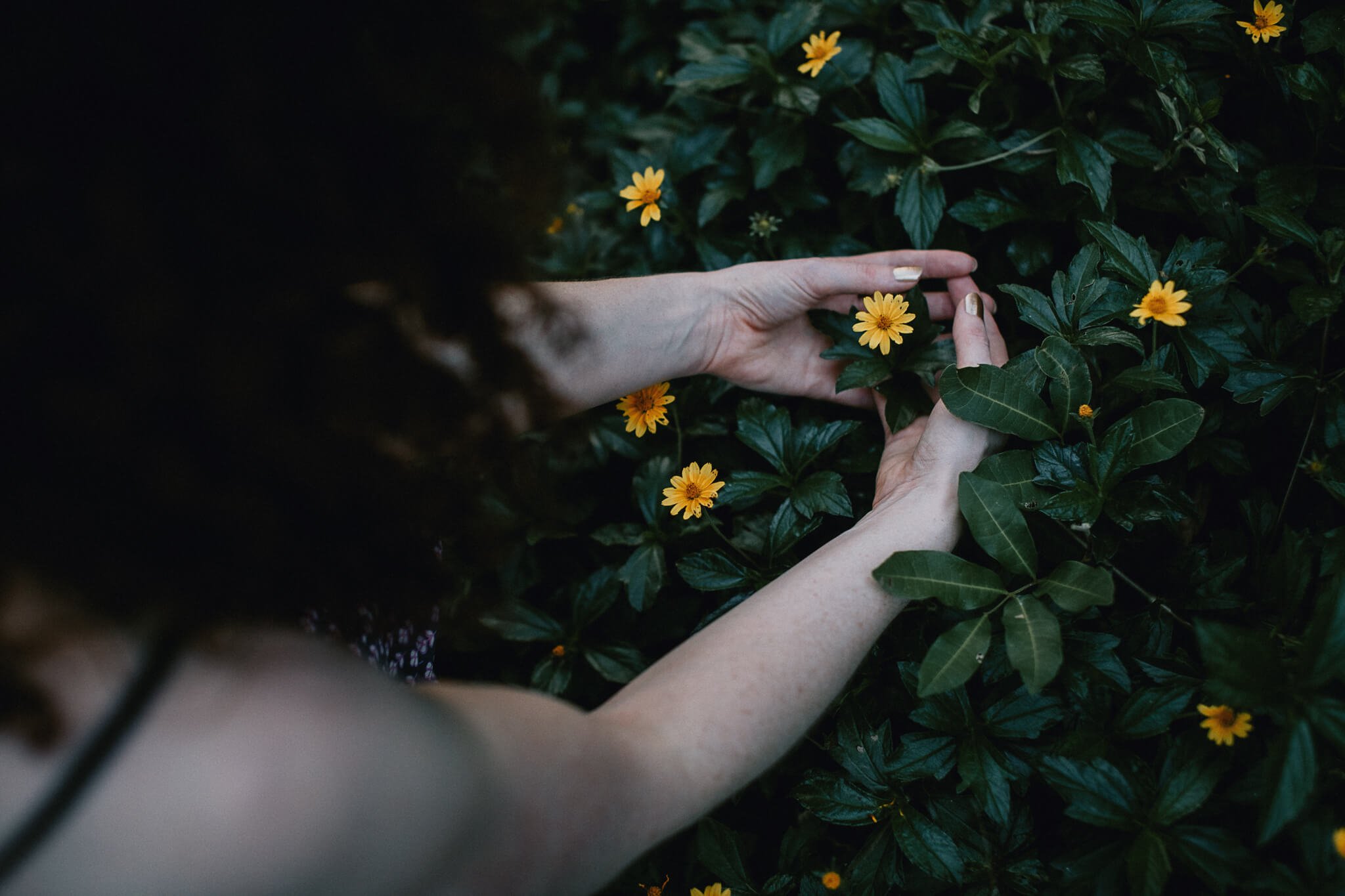 Brisbane-Nature-Therapy.jpg