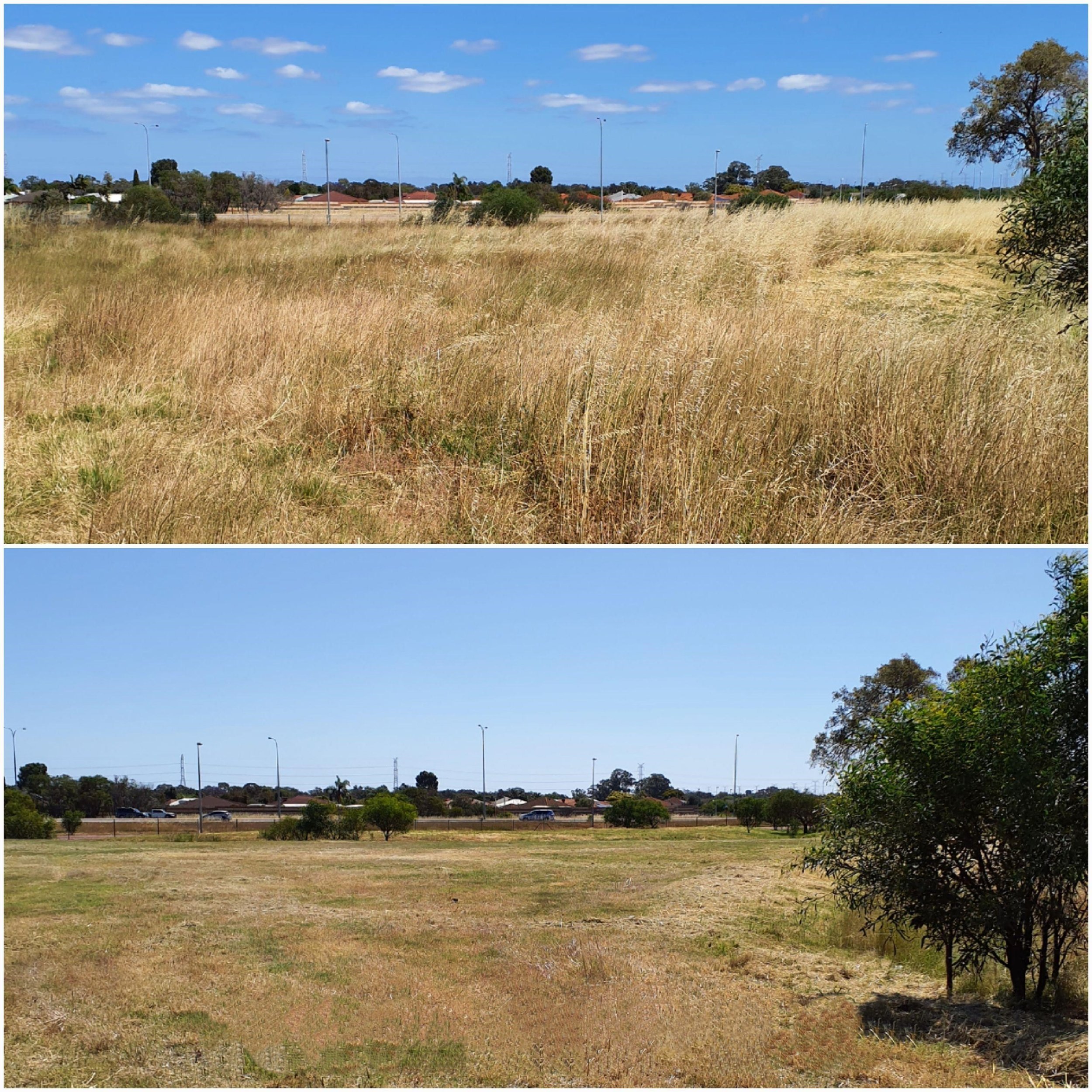 Before & After Photo (Sample 4).jpg