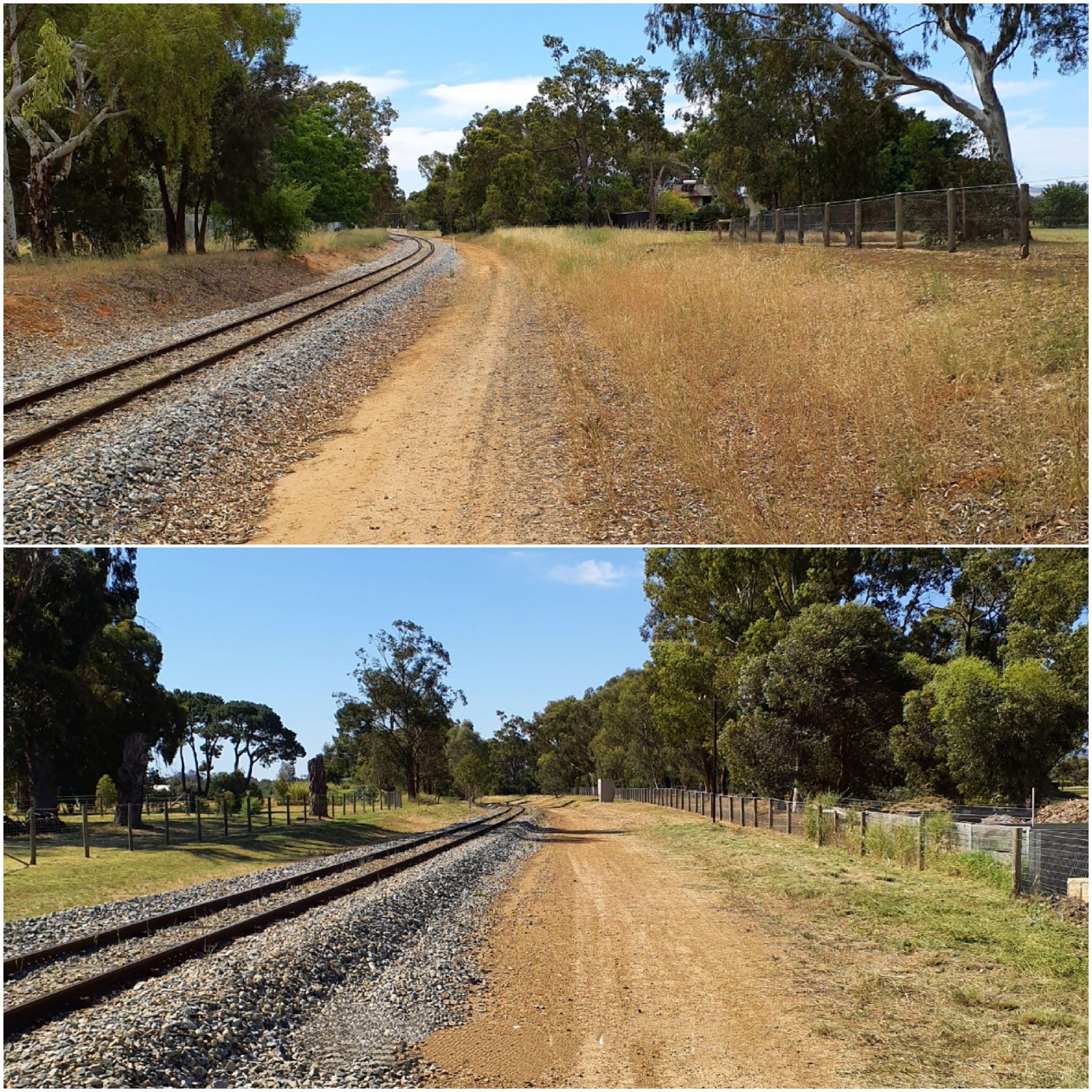 Before & After Photo (Sample 3).jpg