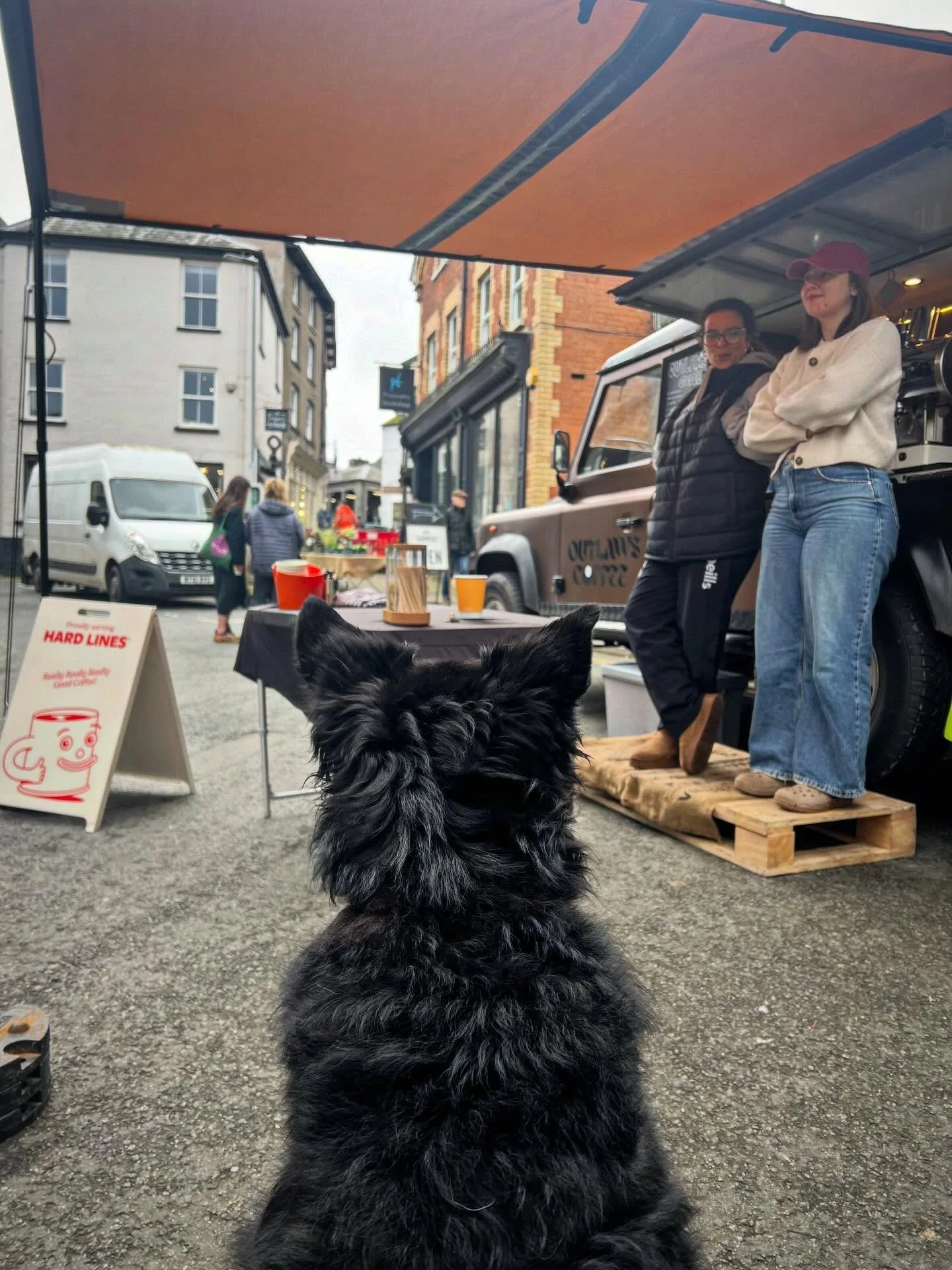 🦴The ever hopeful Alf The Wonder Dog. Will do tricks/ woofs/ sad eyes/ anything for biscuits. And unfortunately he knows that @outlawscoffee has biscuits&hellip; 

Front view and back view. He sat like this for an hour plus. Waiting patiently for bi