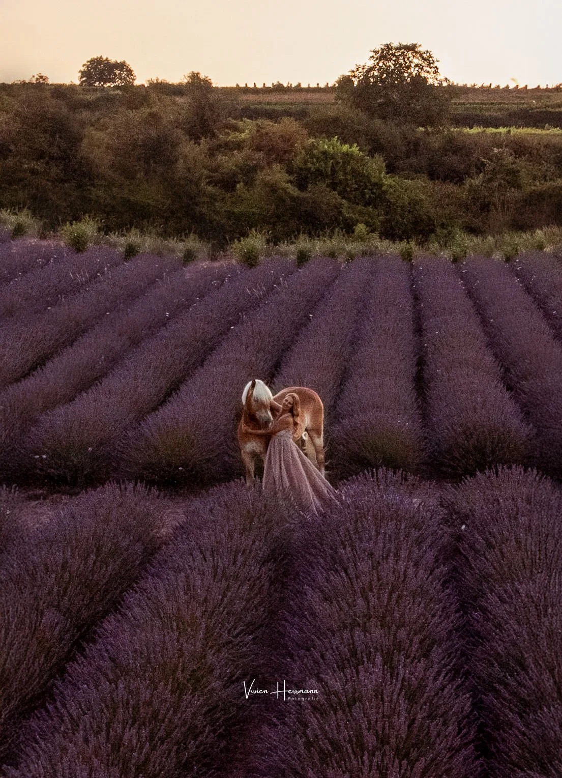 DJI_0410_Web.jpg
