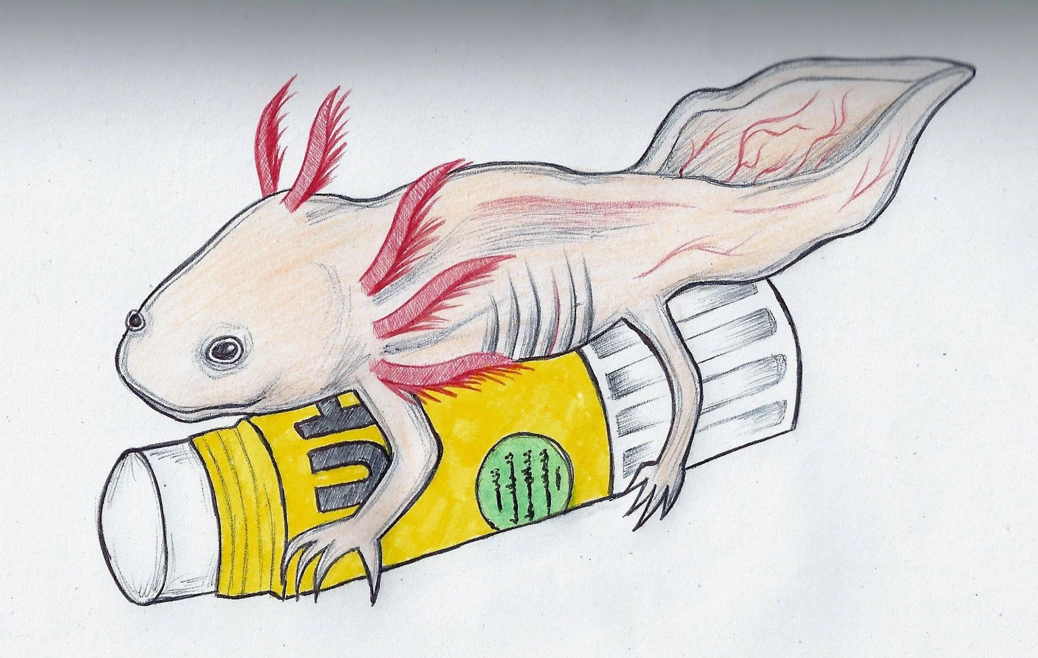 Death of an Axolotl C44 Adelaide broadcast premiere