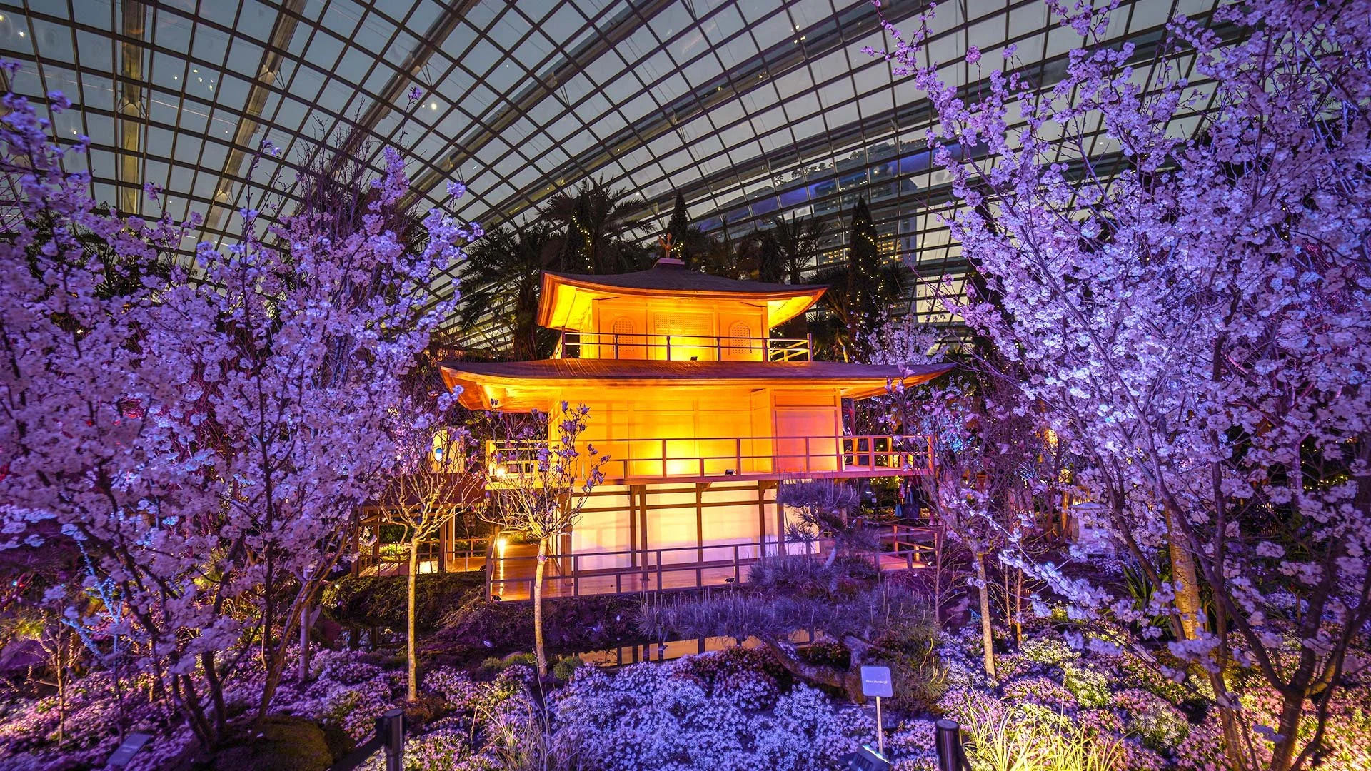 Sakura Gardens by the Bay returns to Singapore!