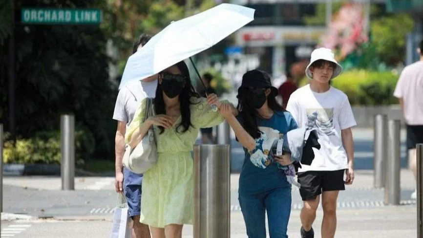 Surge in recent temperature: risk of wildfires