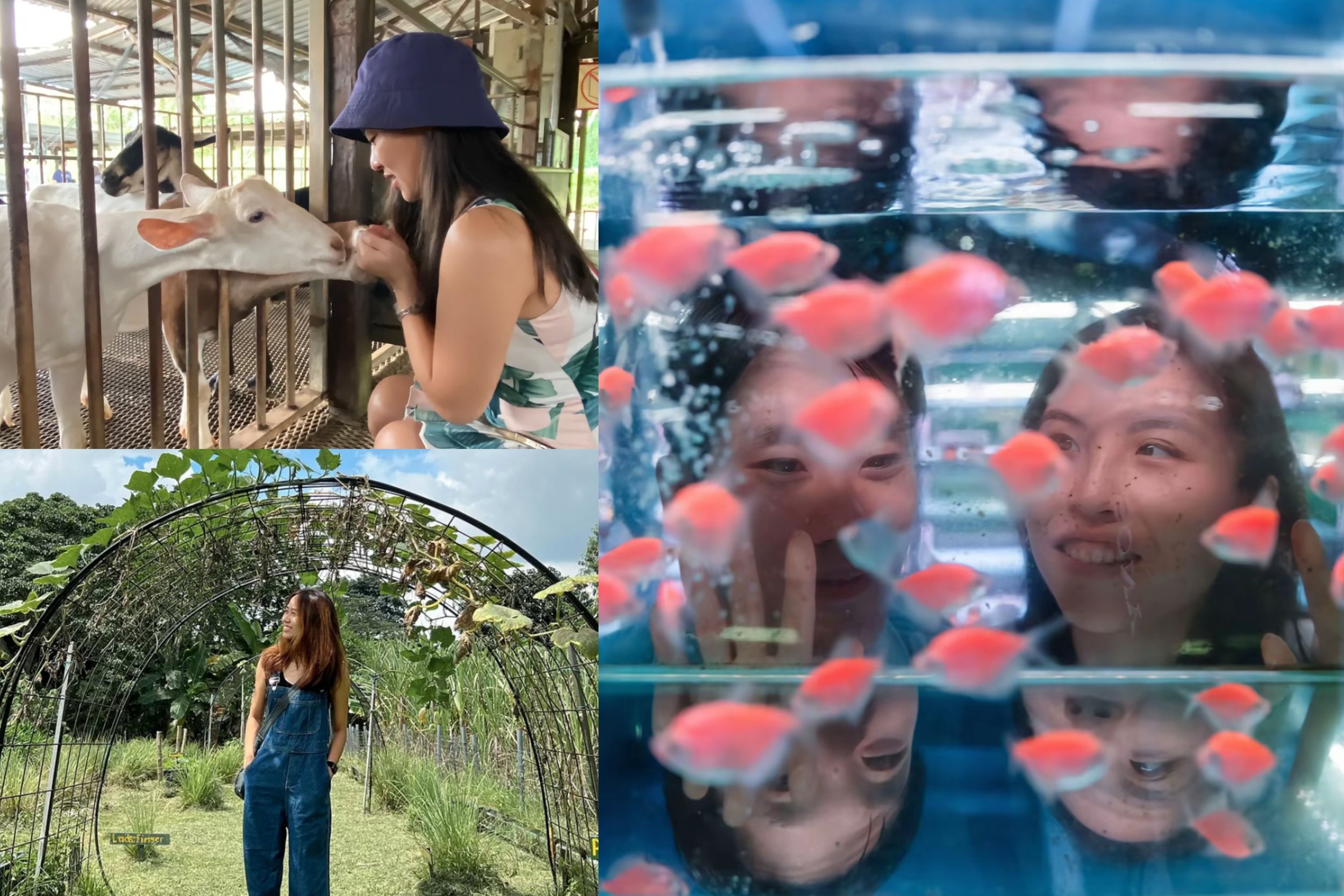 Get Down and Dirty on our Little Red Dot!