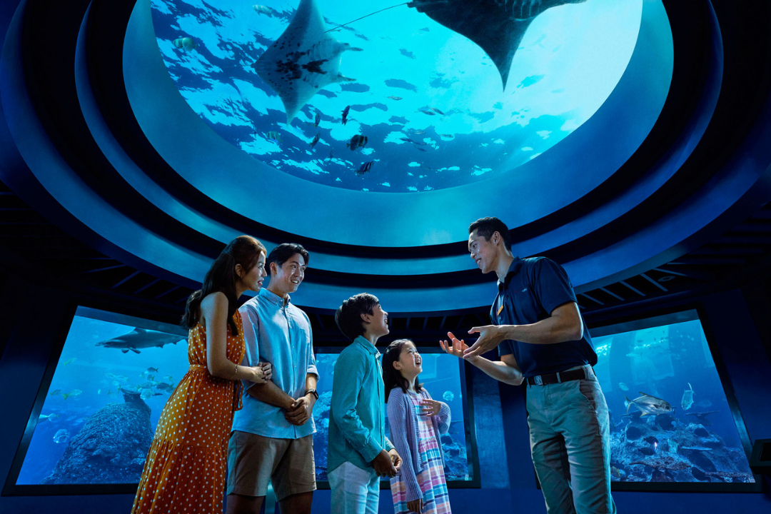 Singapore Oceanarium Makes New Waves