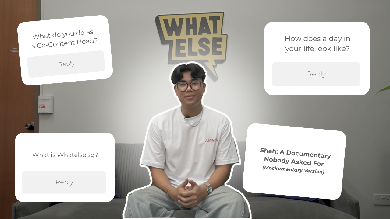 A Day In the Life of Shah