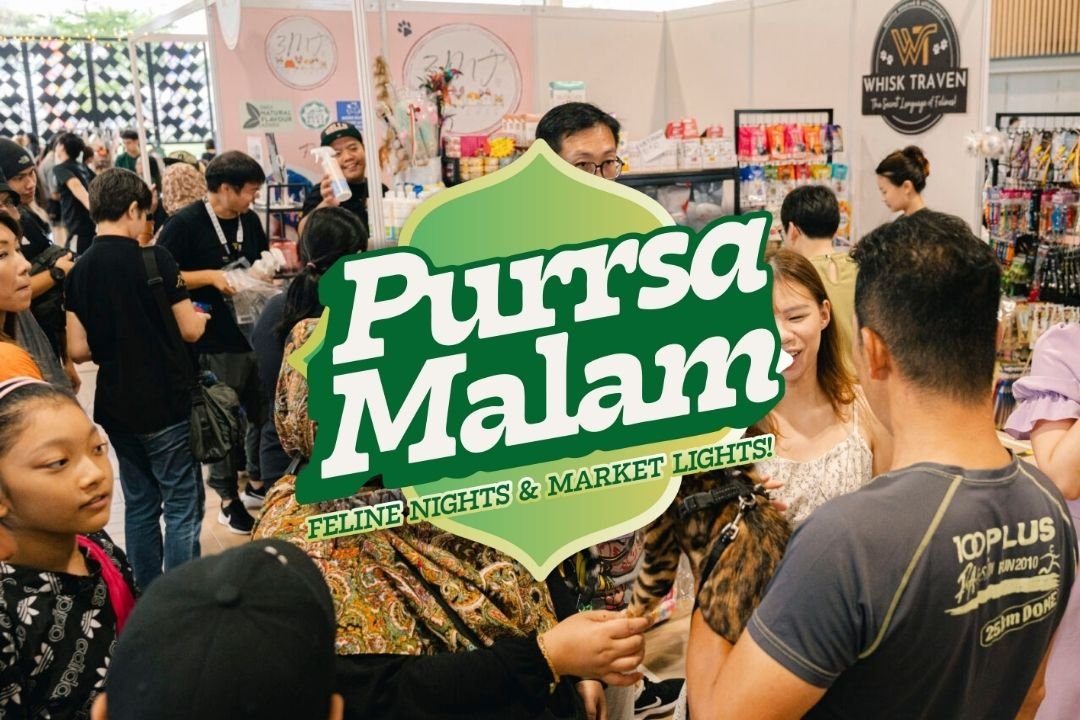 Purrfect Night for Cat Lovers at Purrsa Malam