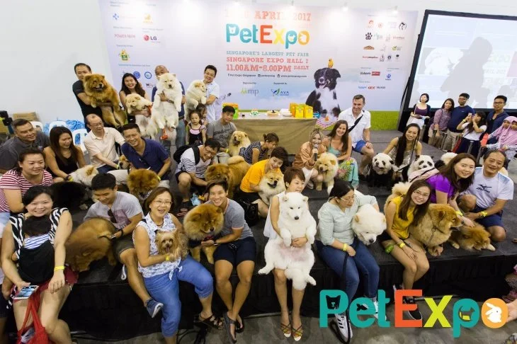 PetExpo’s where the function is at