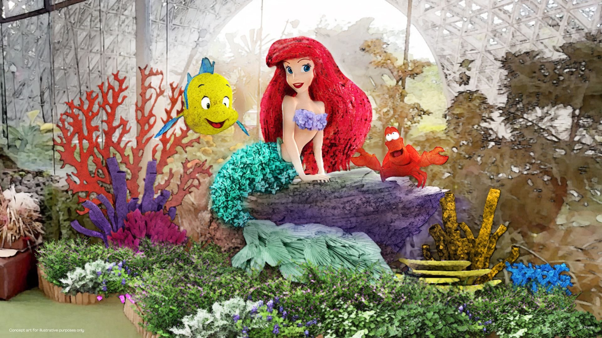 ariel.jpeg