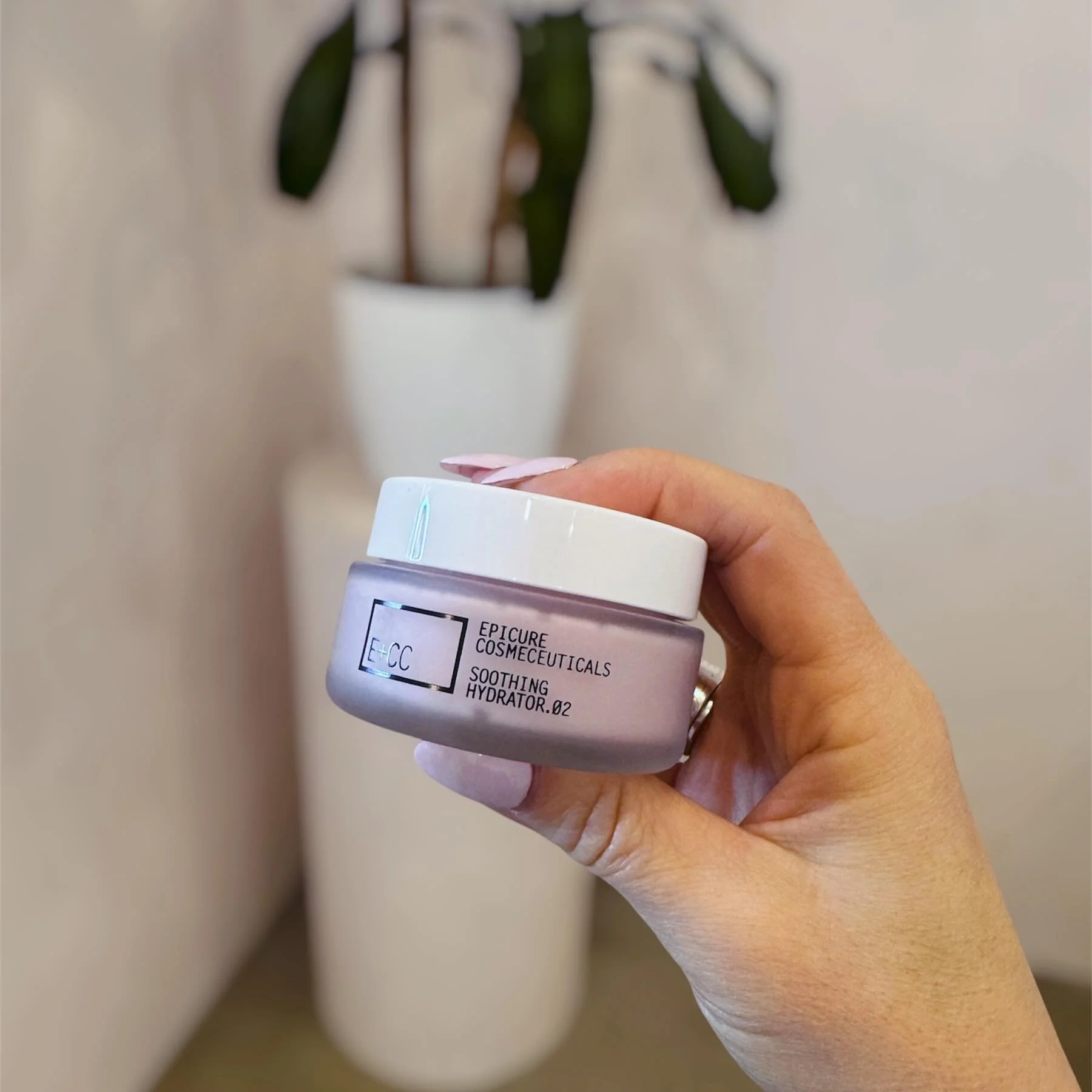 Dreaming of new skincare? We have you covered.