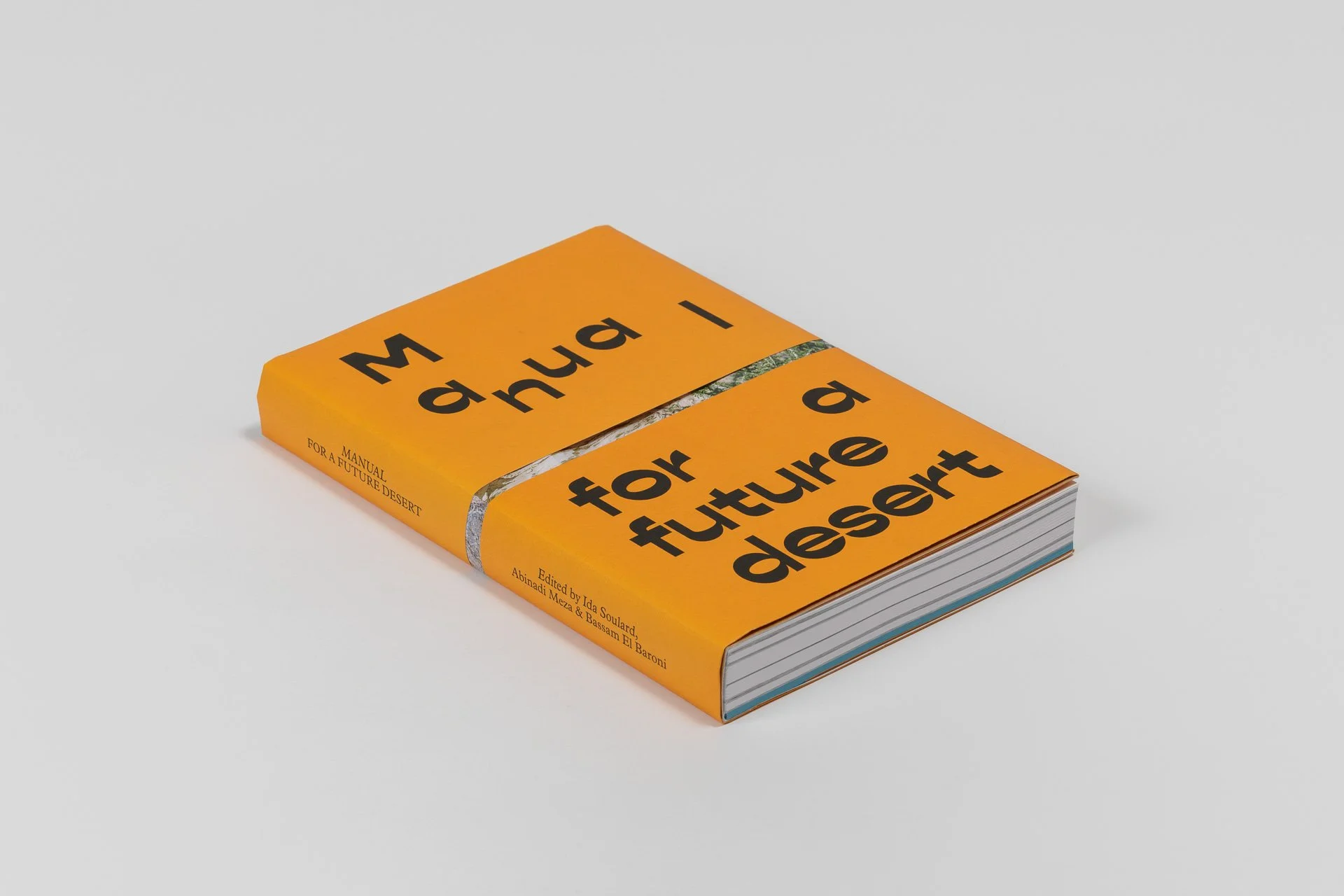 Manual for a Future Desert