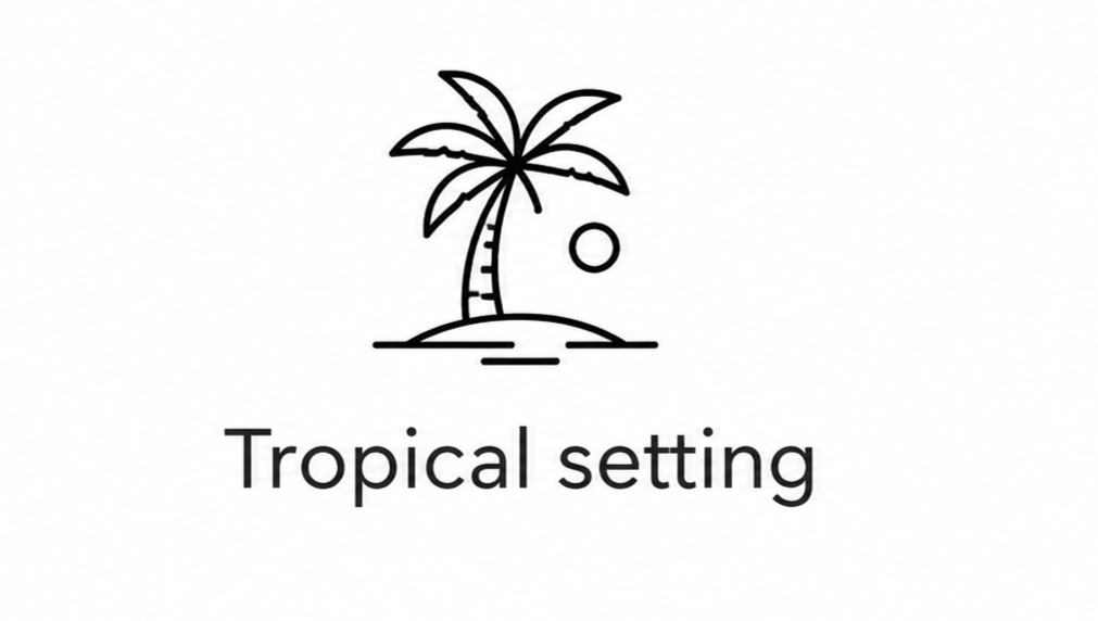 Line drawing of a palm tree on a small island with a setting sun or moon in the background, accompanied by the text 'Tropical setting'.
