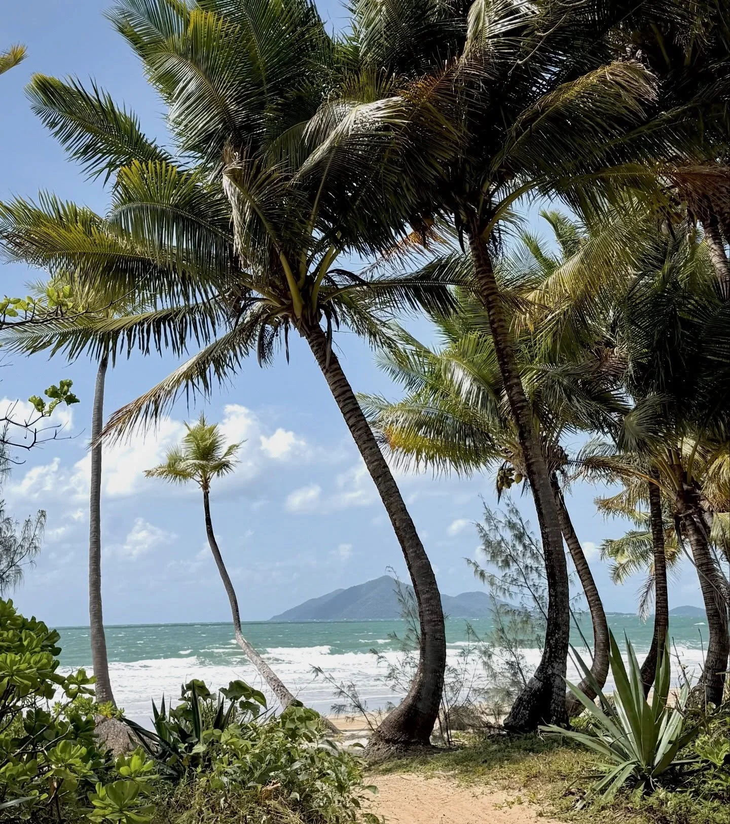 ✨🍃

Winter in FNQ is calling&hellip;

#Cairns #greatbarrierreef #cairnsaccommodation #beach #tropicalescapes