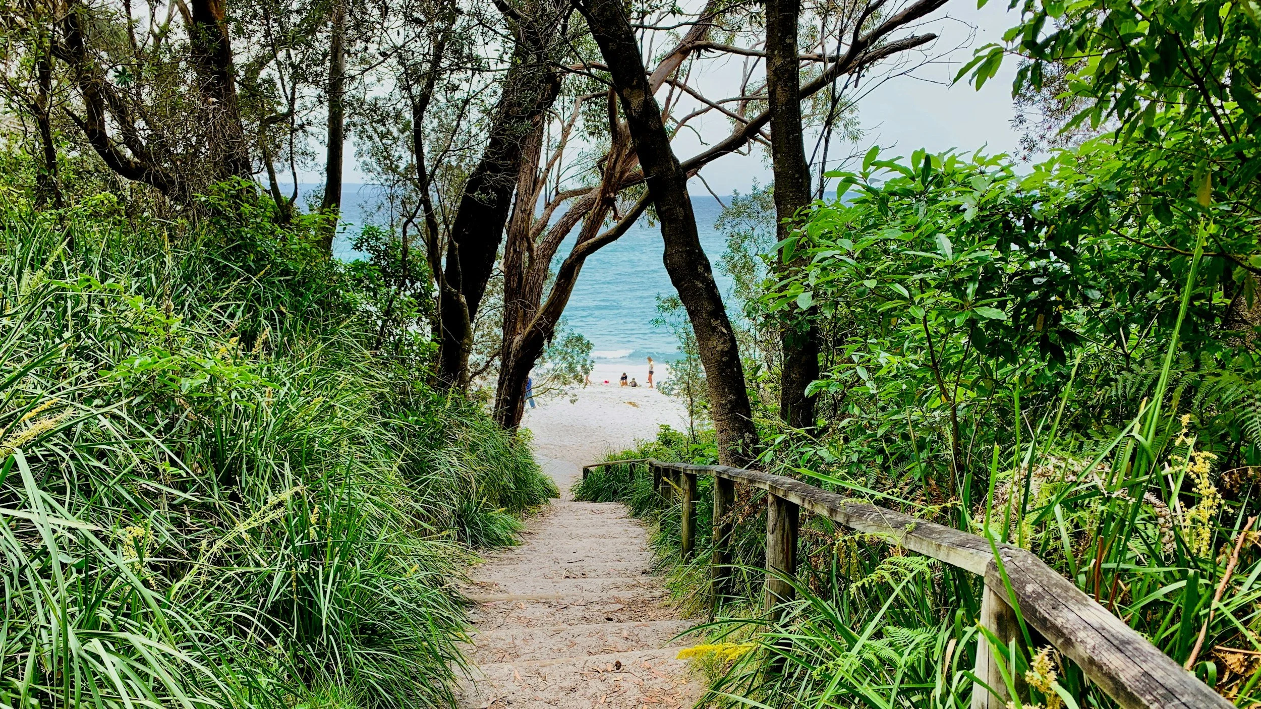 A sandy beach seen through a natural pathway framed by green trees and bushes leading to the ocean.