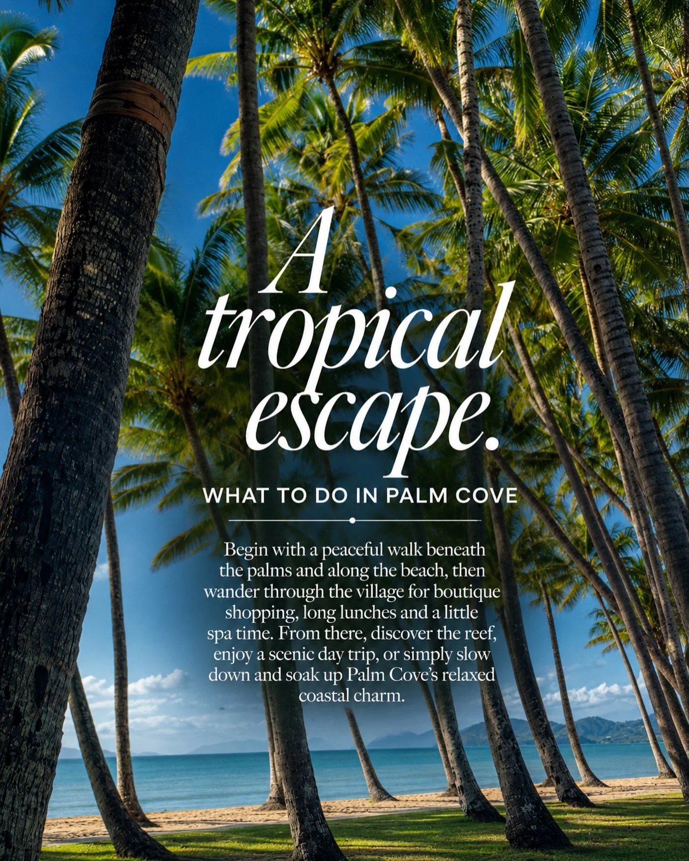 Palm Cove, the kind of place where mornings start slowly and the ocean sets the pace 🌴

Walk beneath the palms, linger over coffee, wander the beachfront village, book a reef day or simply do nothing at all.

This is Tropical North Queensland at its
