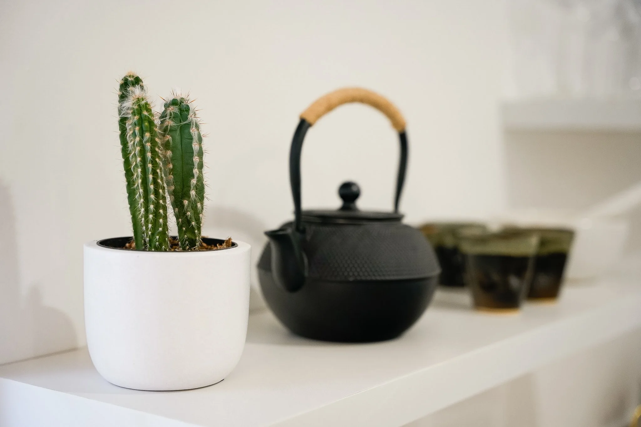 A white pot with a green cactus plant, a black teapot with a wooden handle, and other blurred objects in the background on a white shelf against a white wall.