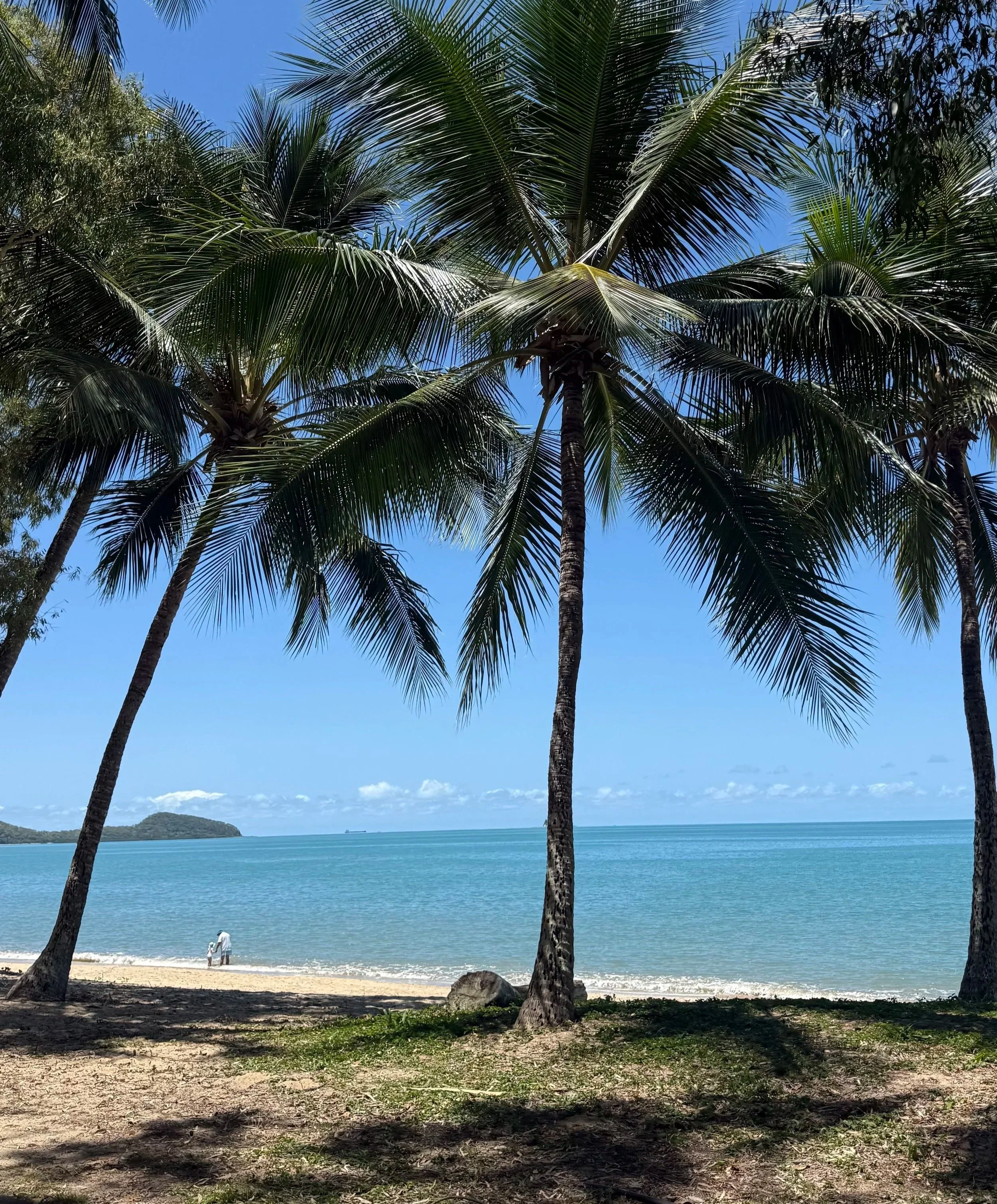 A tropical beach scene with several palm trees in the foreground, a sandy beach, blue ocean water, and a distant landmass with a mountain or hill in the background. The sky is mostly clear with a few clouds.