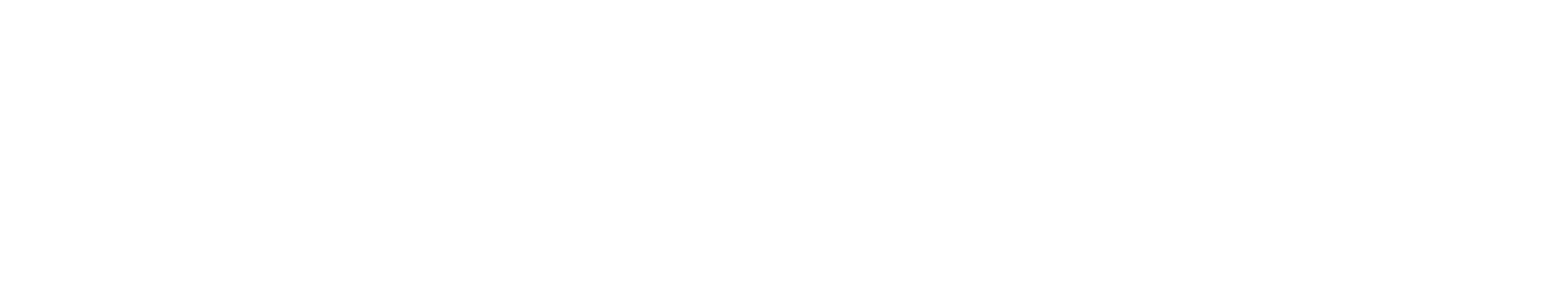 Logo blanc avec un dessin simplifié d'un oiseau et le texte "L'oiseau bleu".