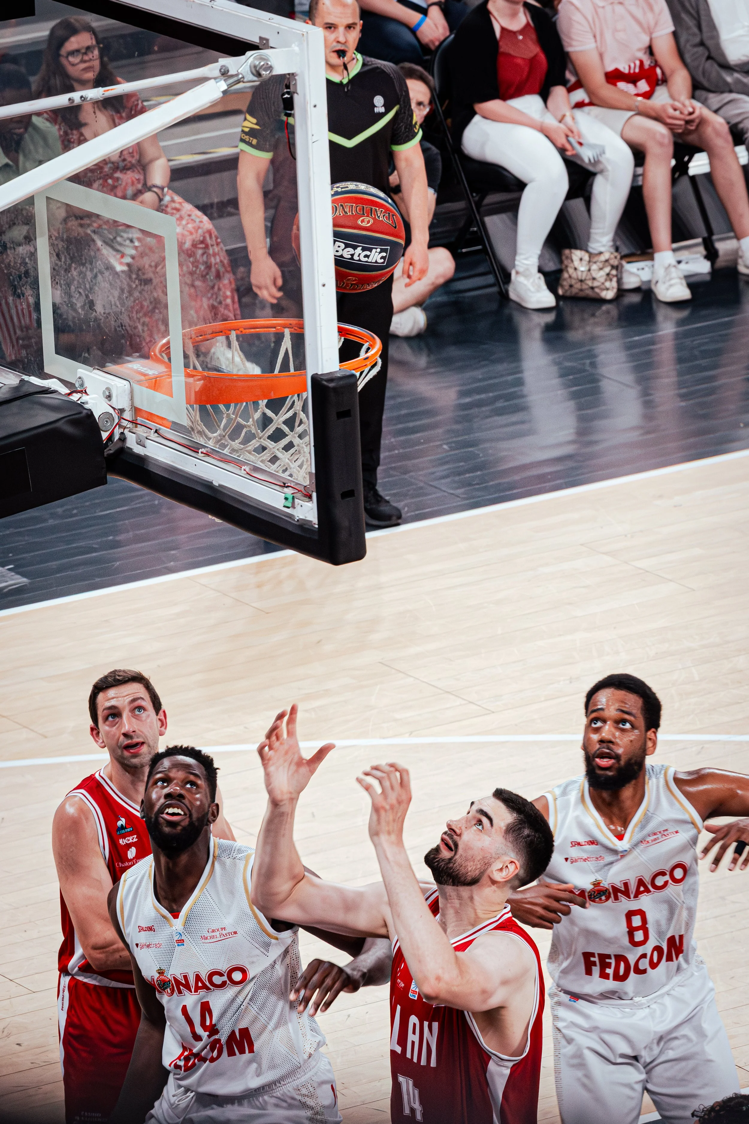 8G9A7193-Avec accentuation-Bruit.jpg