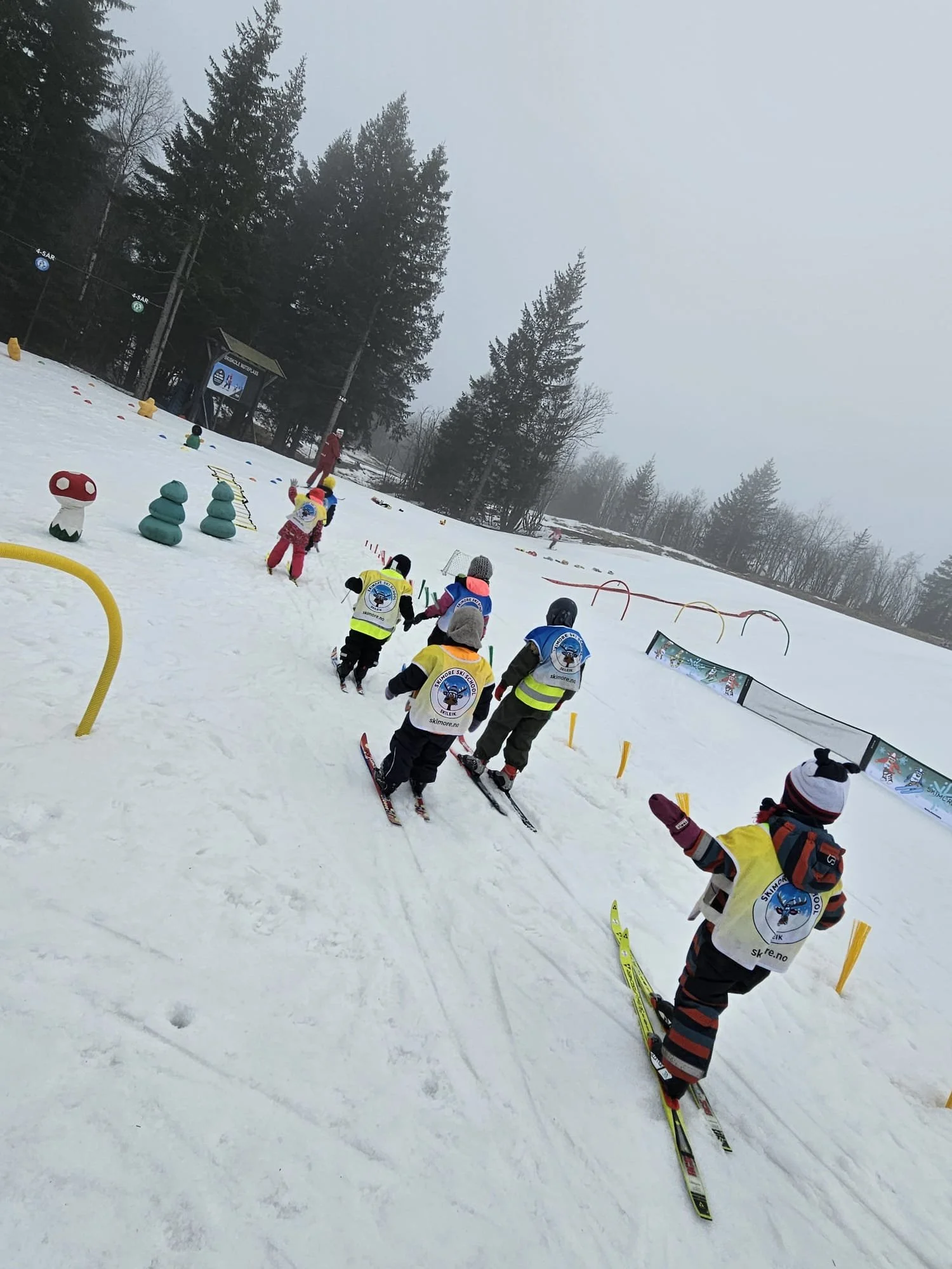 ski.jpg