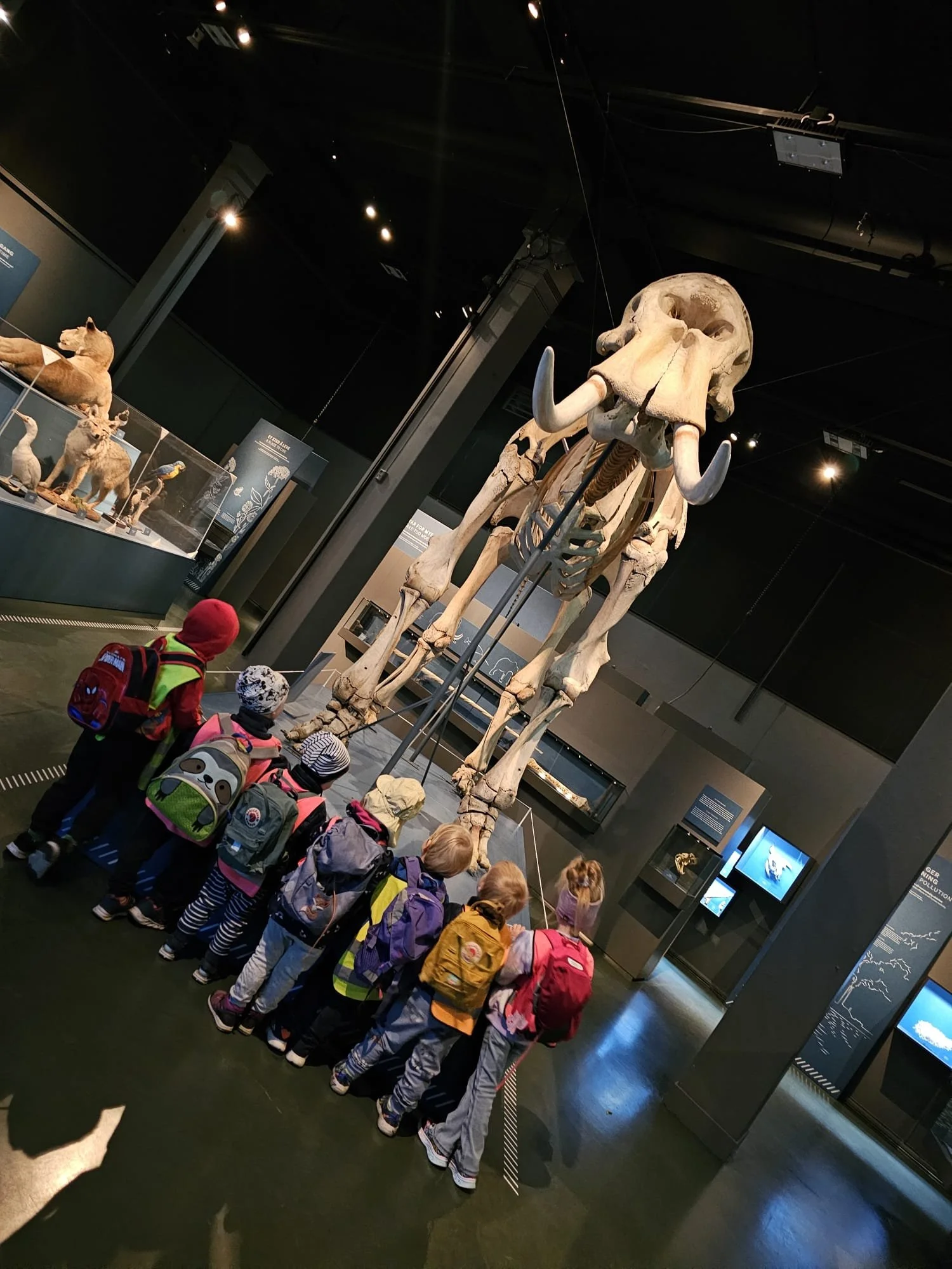 museum.jpg