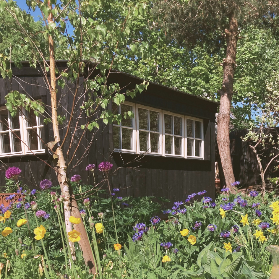 Notes from the Studio - May