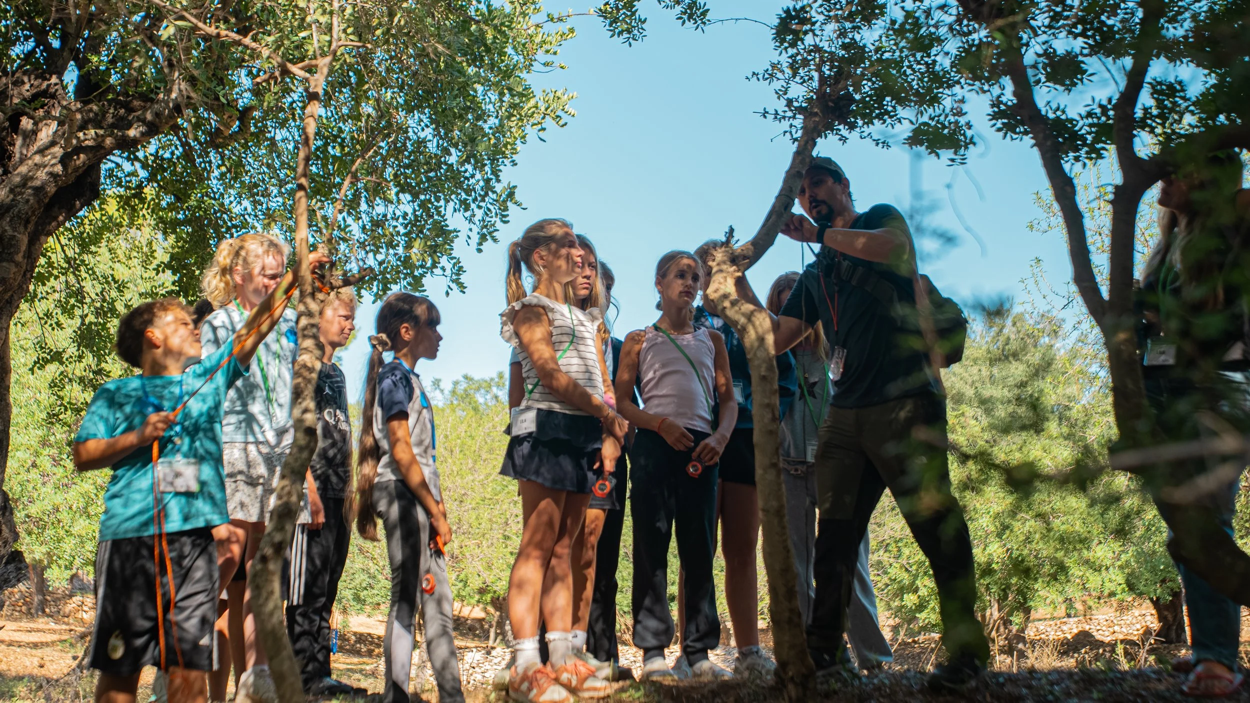 A group of children and an adult outdoors among trees, with the adult teaching or explaining something about the tree to the children.