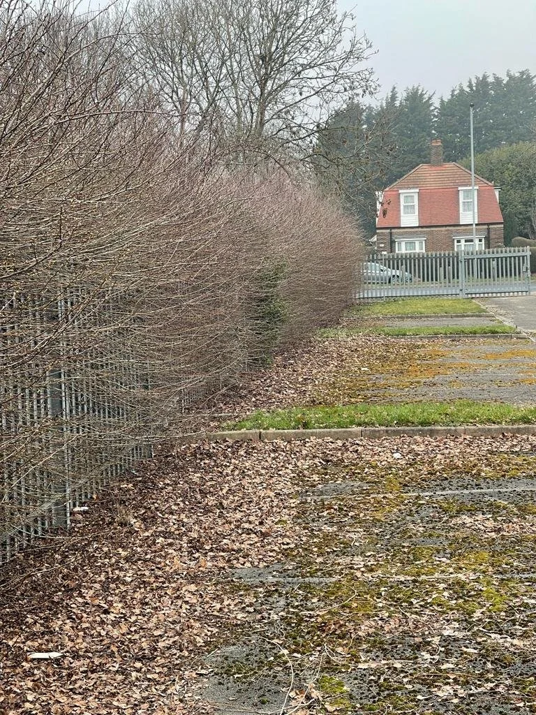 Parking spaces covered