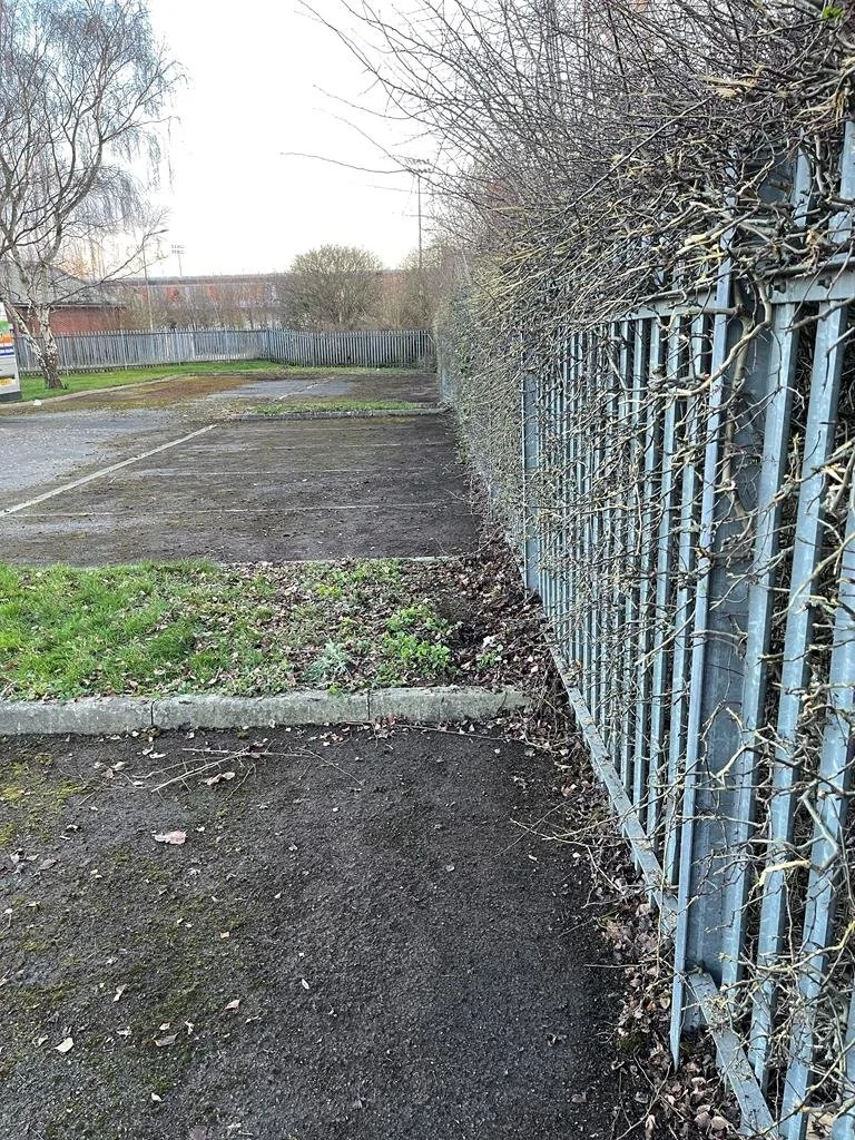 Hedging clipped back