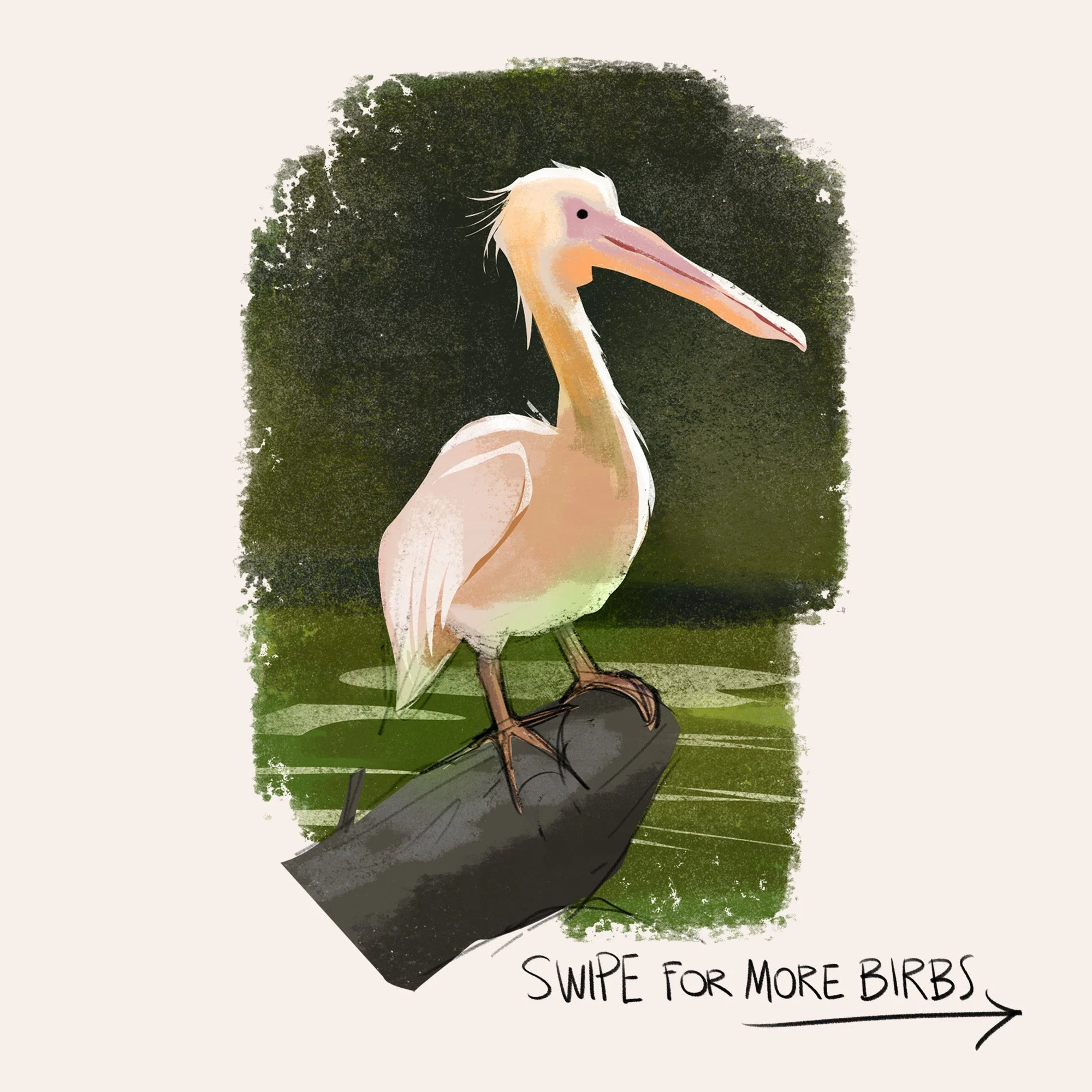 Birbs studies 🦆🐦🦃🦉✏

 #illustration #sketchbook #studies #drawing #sketch #animals #sketching #sketches #animalstudies #photoshop #30minclass #30minclassmode