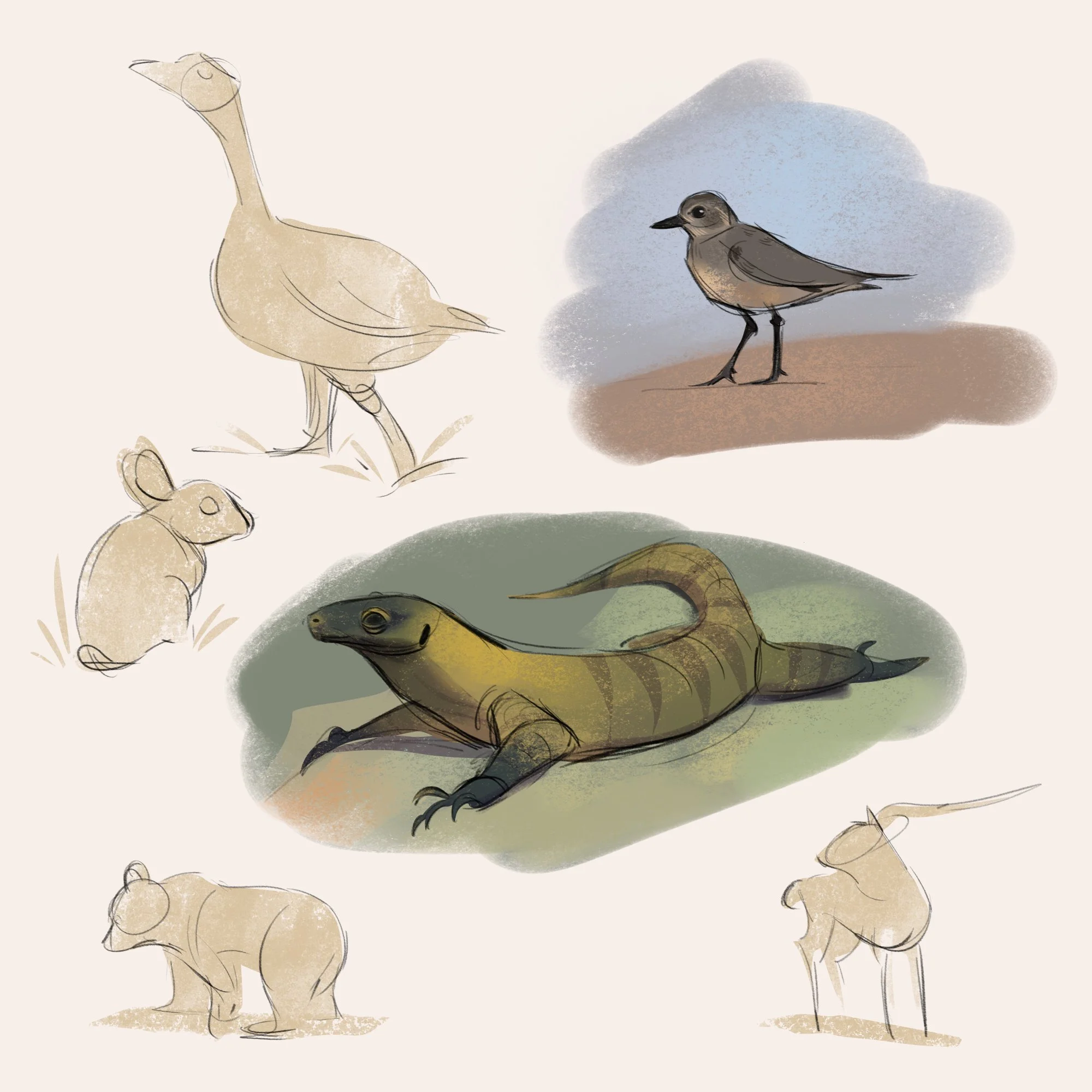More 30mins animal studies class.
References from Line of Action.

 #studies #drawing #sketching #illustration #sketches #sketch #photoshop #animals #animalstudies #gesturedrawing
