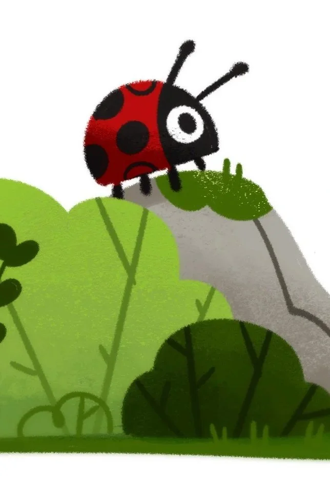 Personal Project: Bugs 23