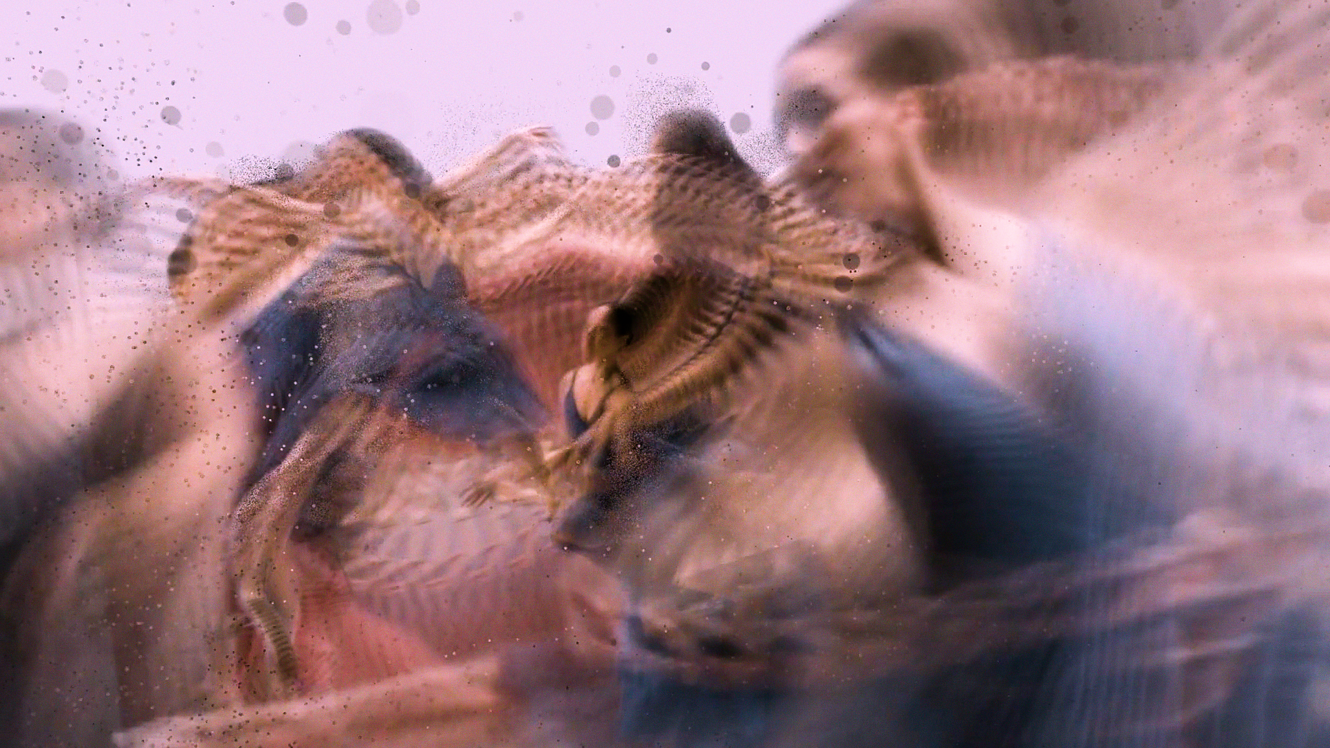 DANCE 03.png