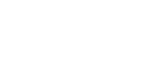 11-ASSETS.png