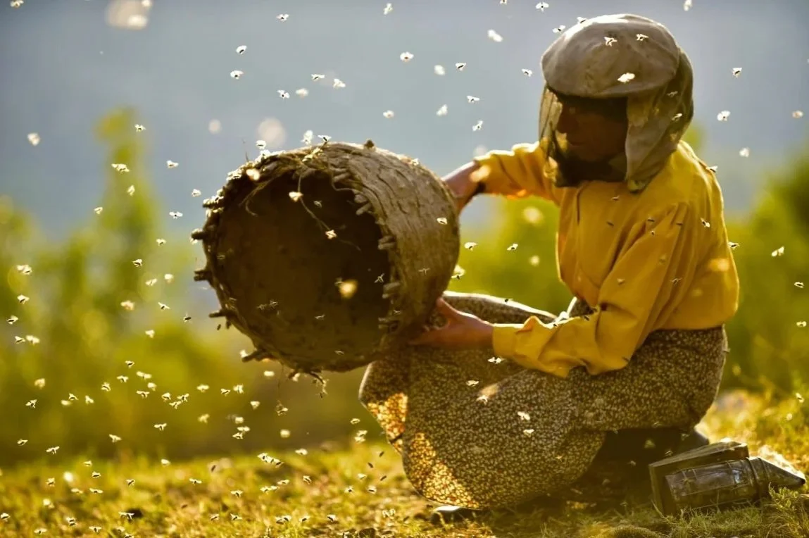 A woman in a yellow dress and a beekeeping headwear lifts a beehive and is surrounded by bees in the air.