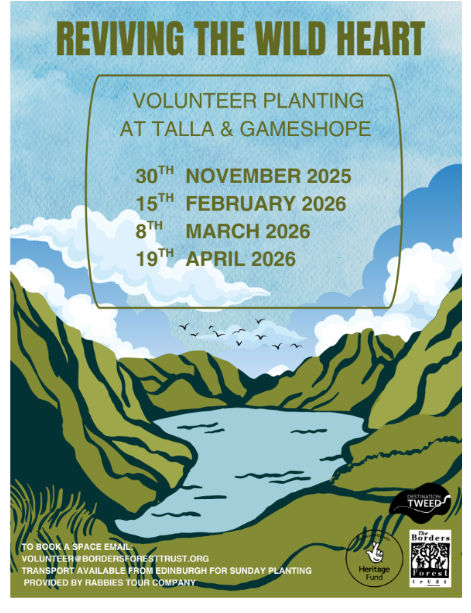 Tree planting at Talla/Gameshope with Borders Forest Trust