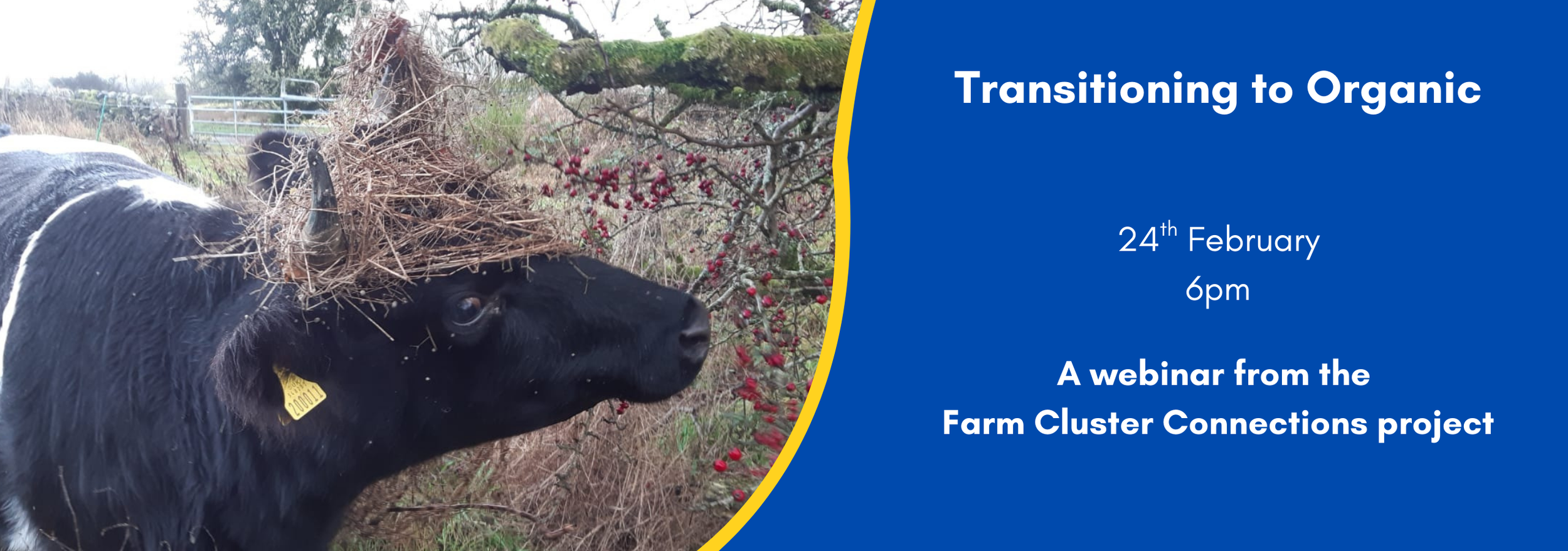 Soil Health Webinar - Transitioning to Organic