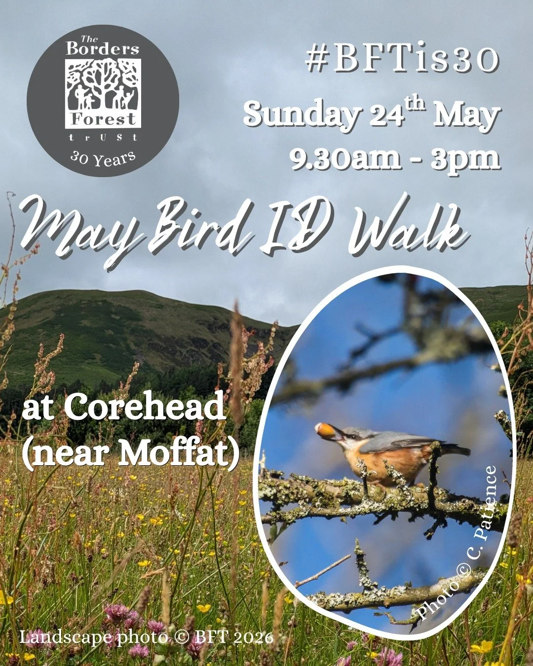 May Bird I.D.