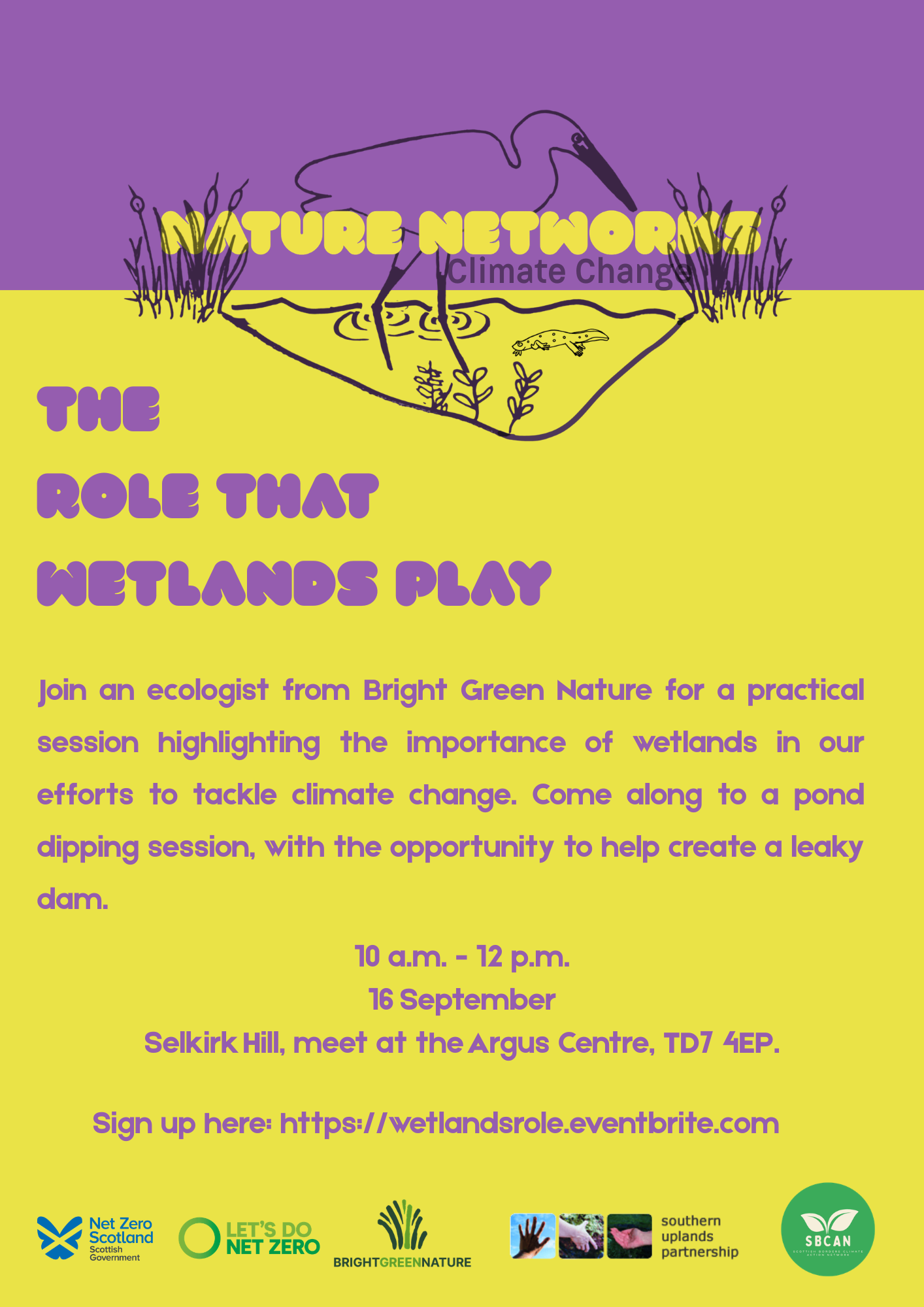 The Role that Wetlands Play