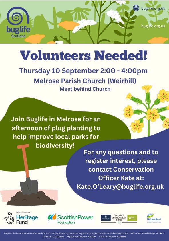 Volunteer plug planting in Melrose
