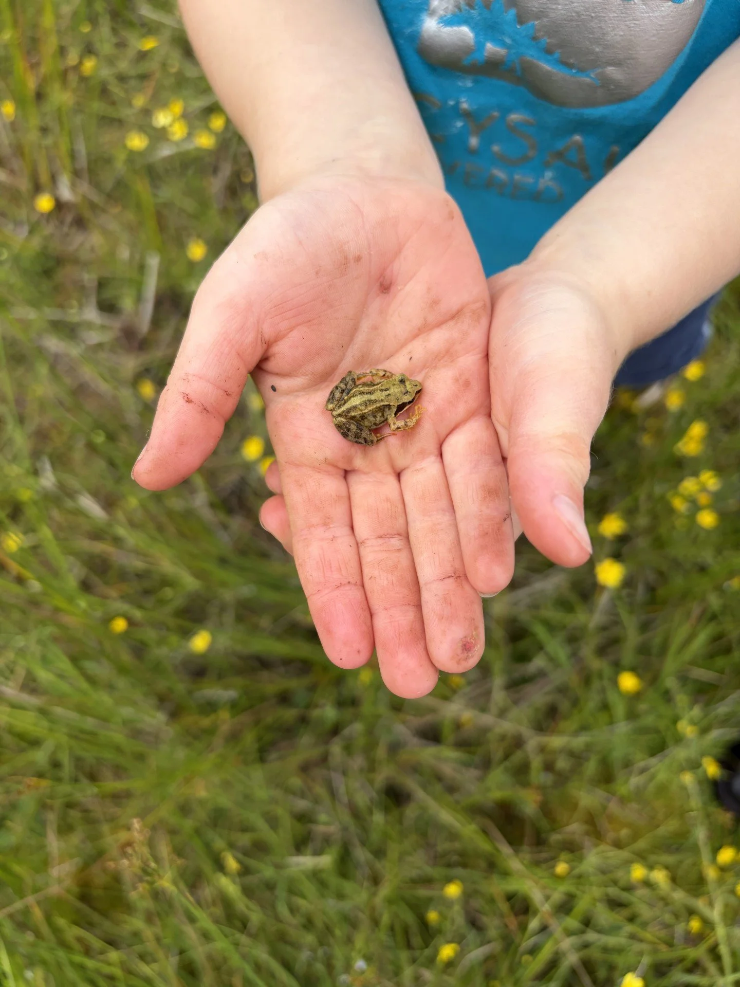 A child holds a small frog in his hands