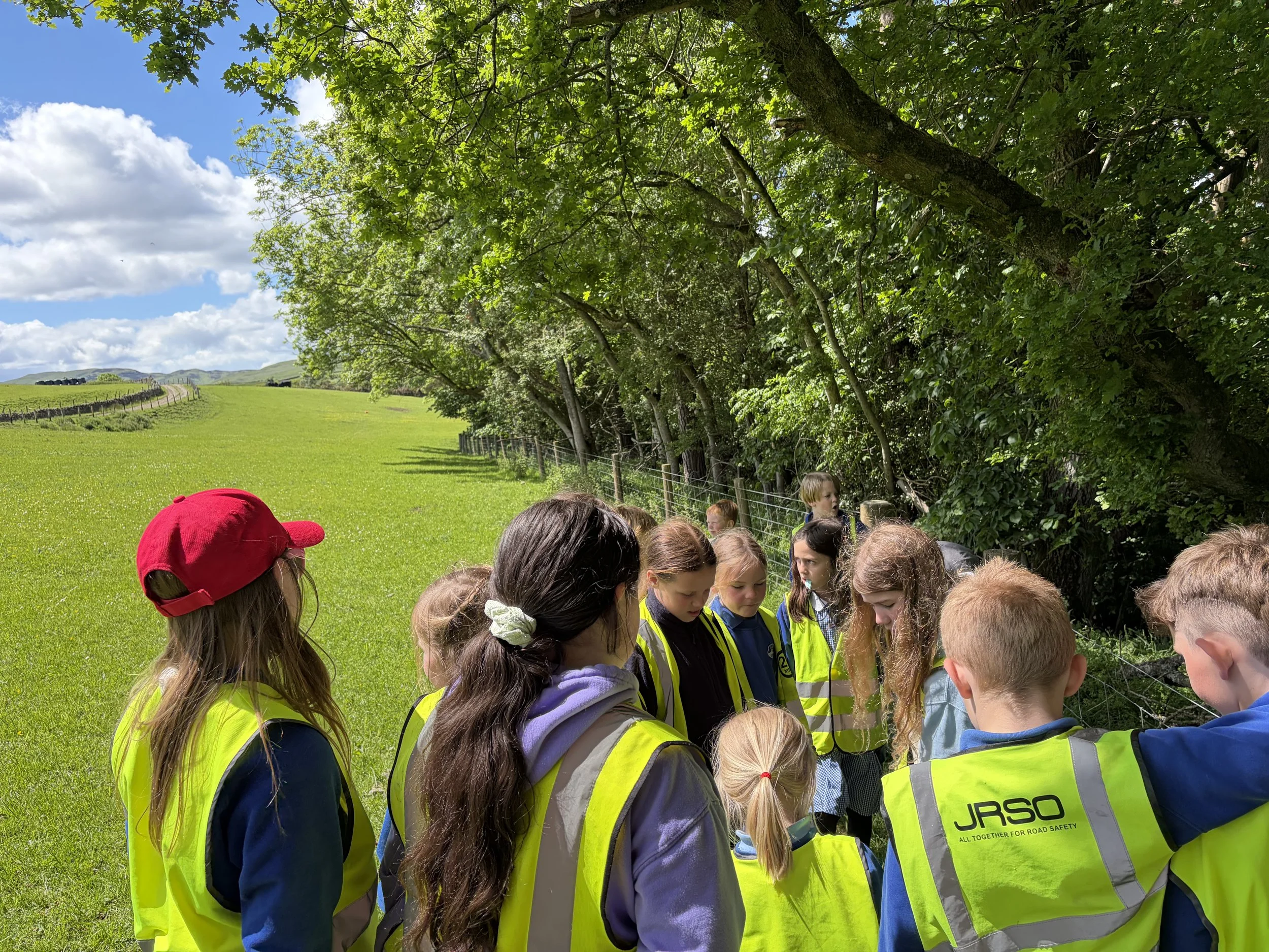 A group of school children stand in a circle in a field looking at something on the ground.
