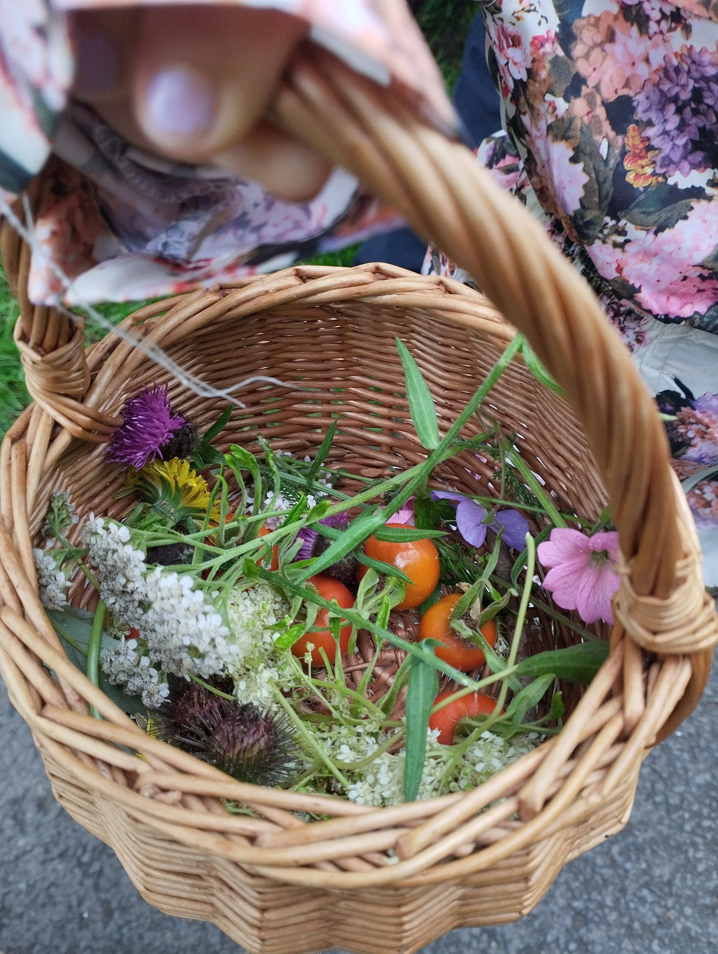 A wicker basket containing edible plants.