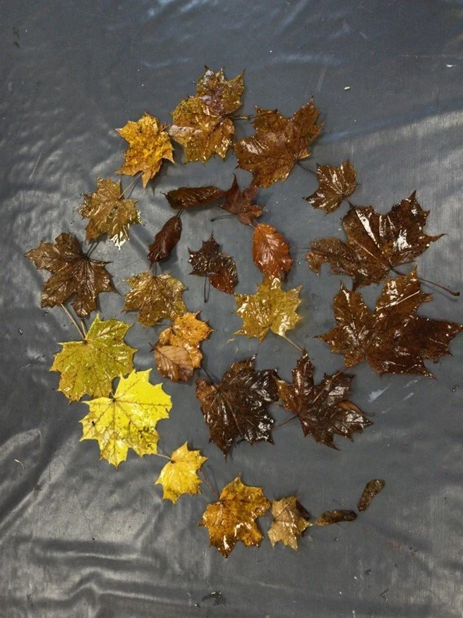 Picture8.jpg