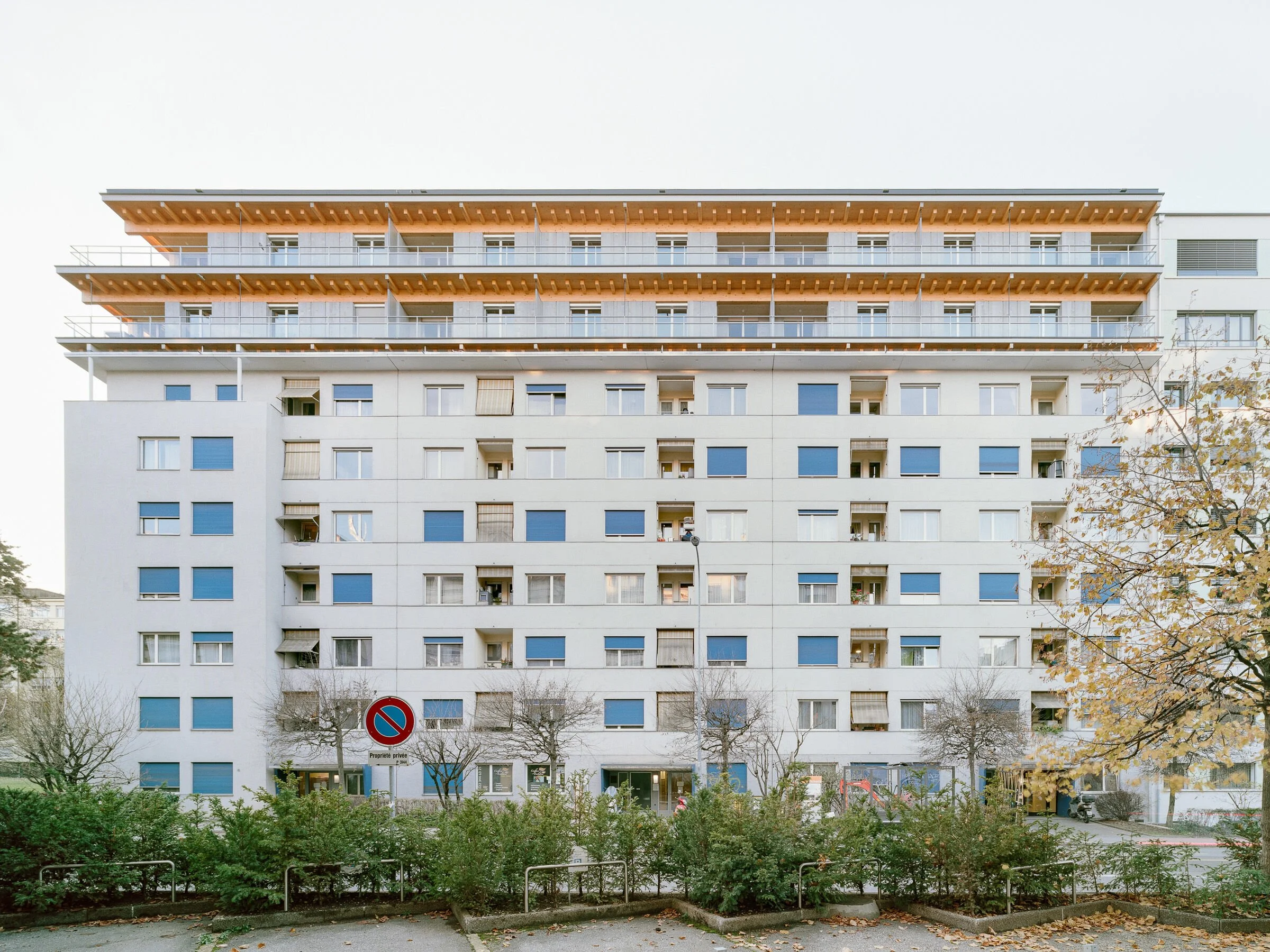 Wendt 29 - 33