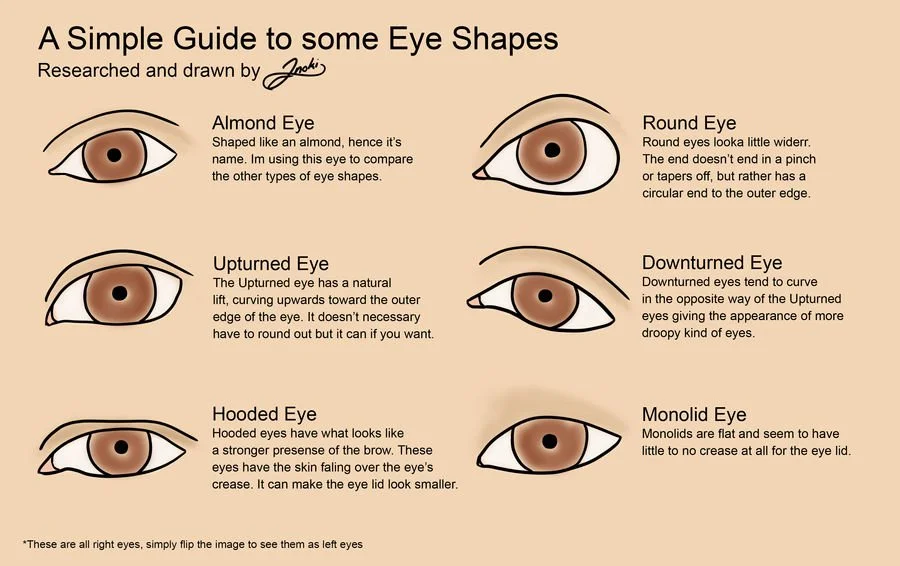 eye_shapes_reference_by_inokithefox_dcloamj-fullview.jpg