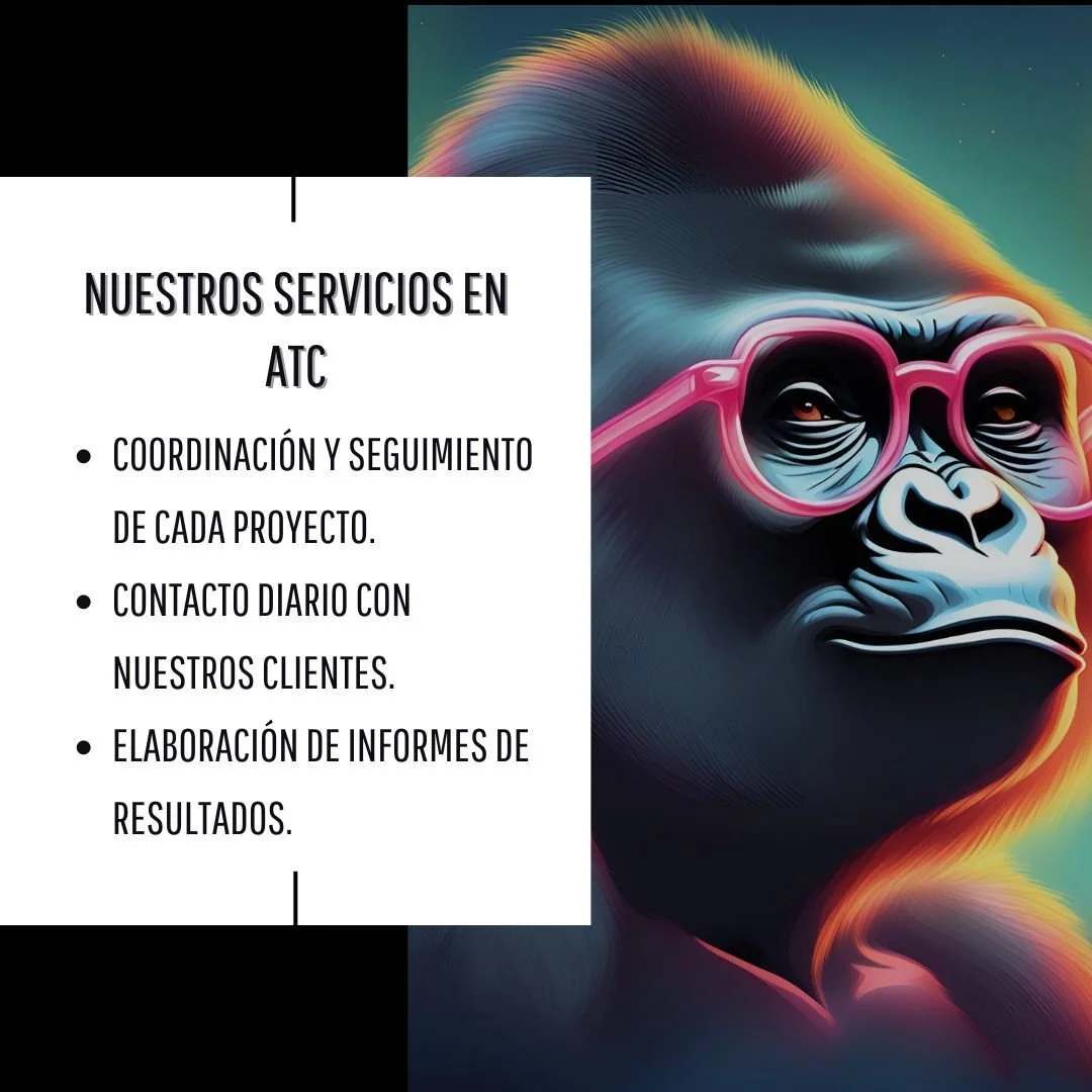 Nuestros servicios siempre tienen valor a&ntilde;adido para nuestros clientes. 
&iquest;Quer&eacute;is conocernos?&hellip;
Estaremos encantados de atenderos.

Our services always have added value for our customers.
Do you want to meet...
We will be h